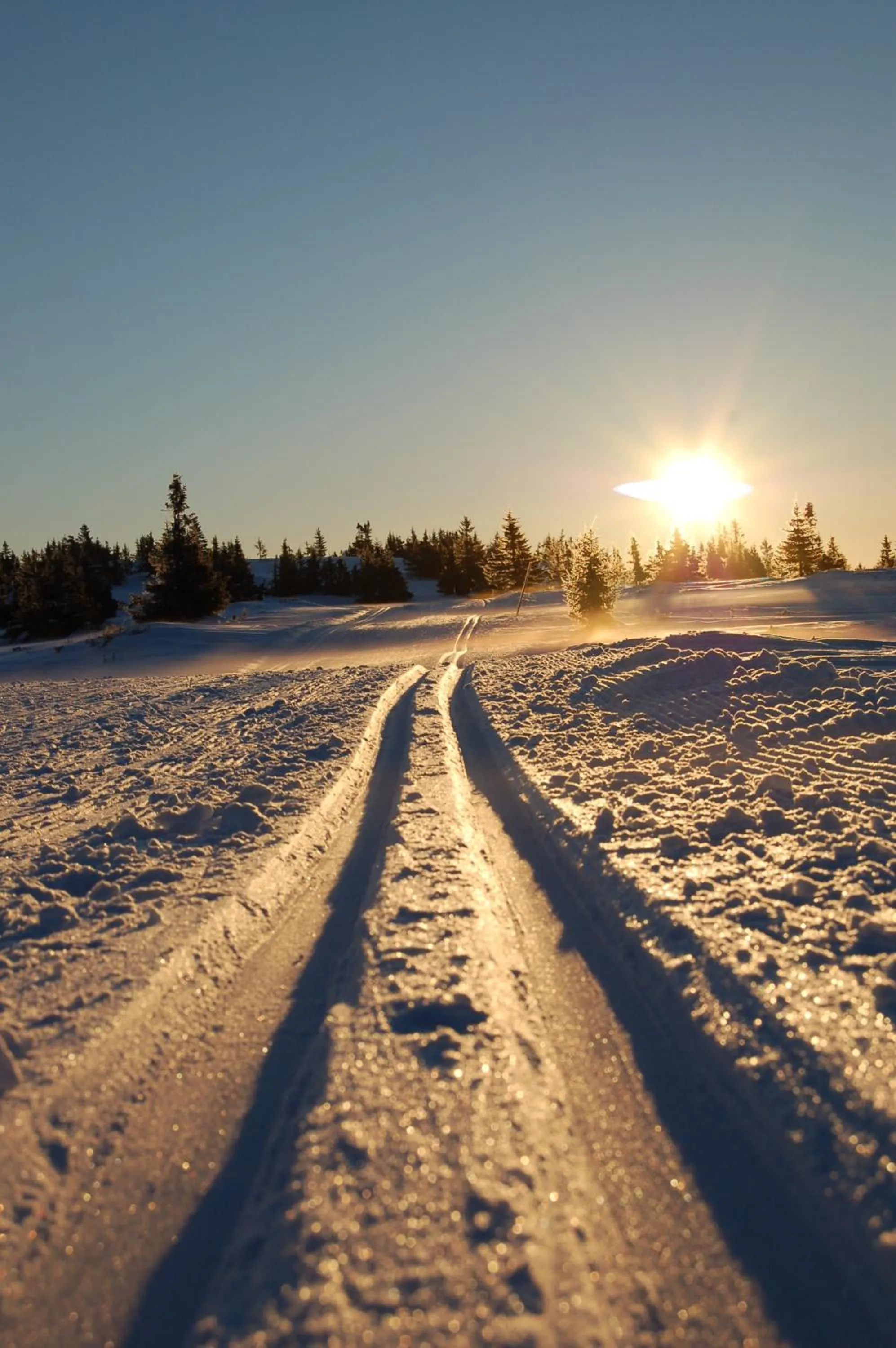 Area and facilities in Nordseter Fjellpark, Hyttegrend