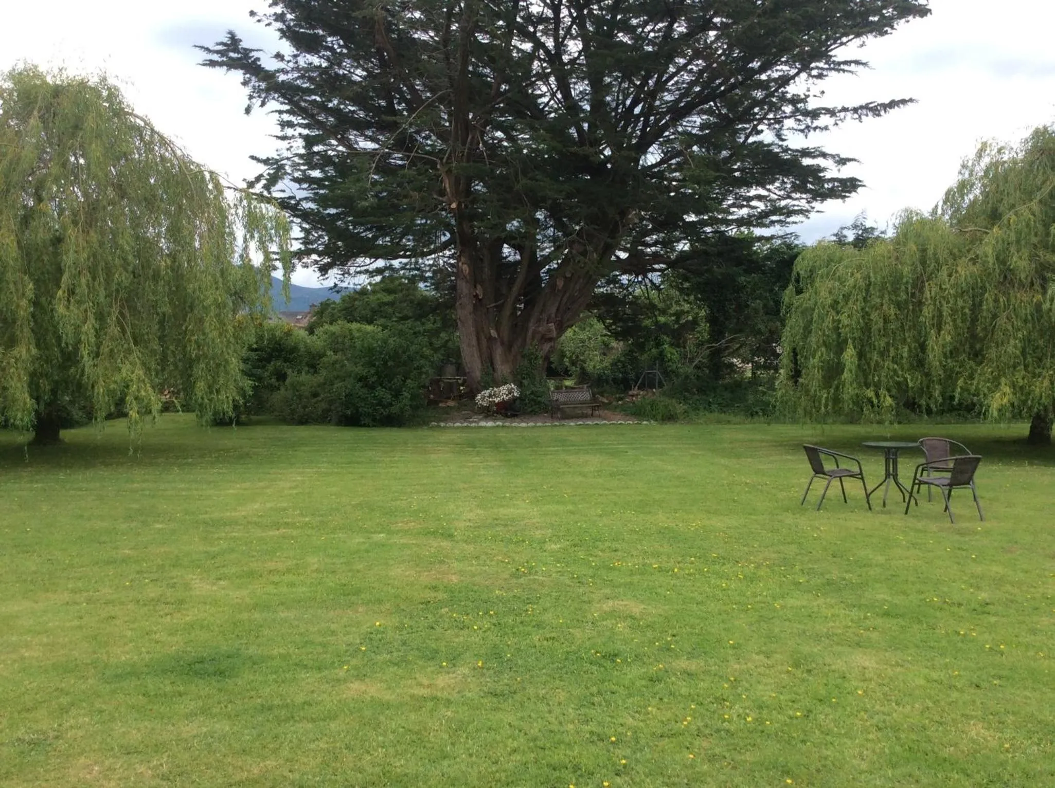Garden in The Gardens guest accommodation