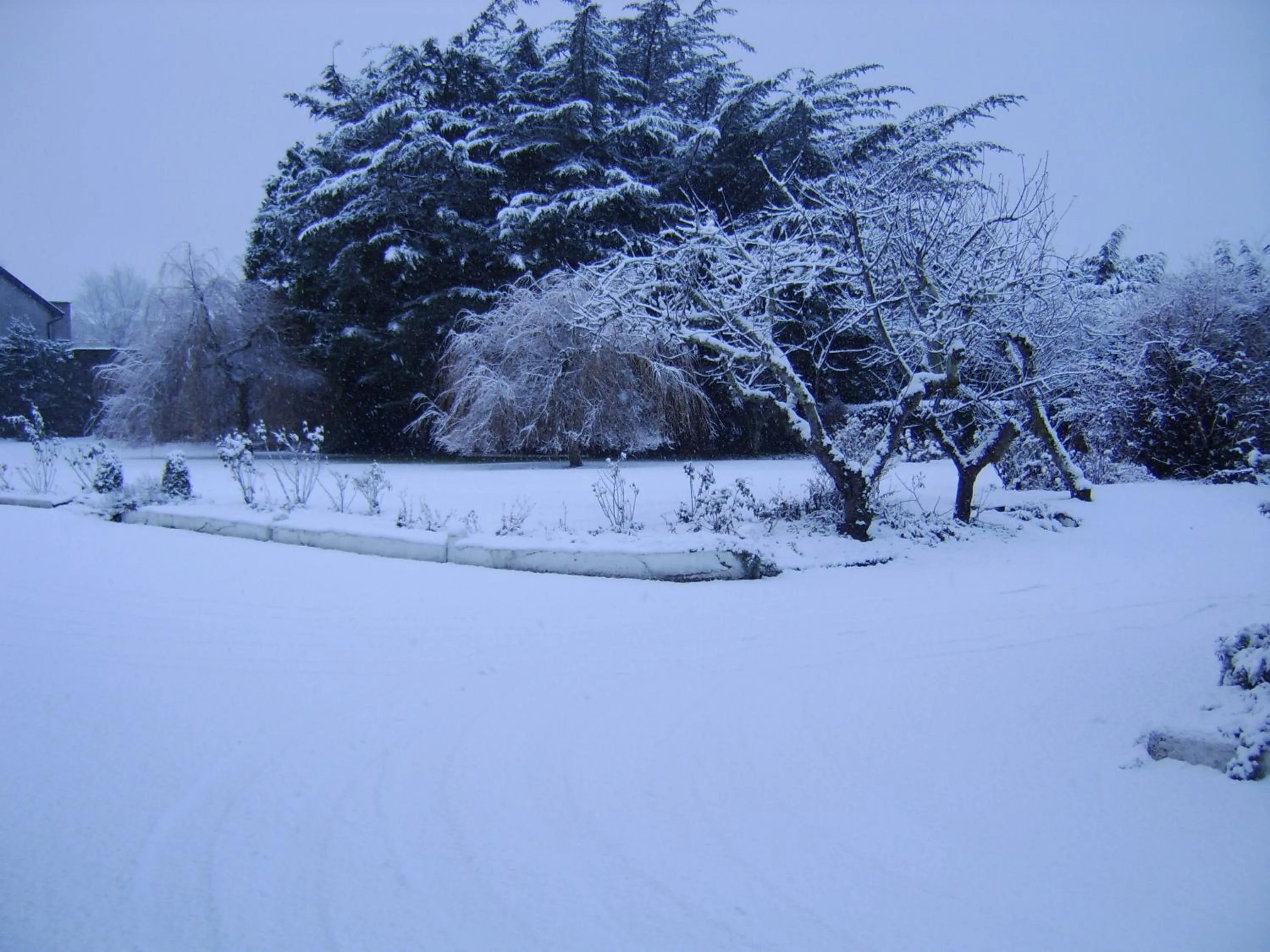 Winter in The Gardens guest accommodation