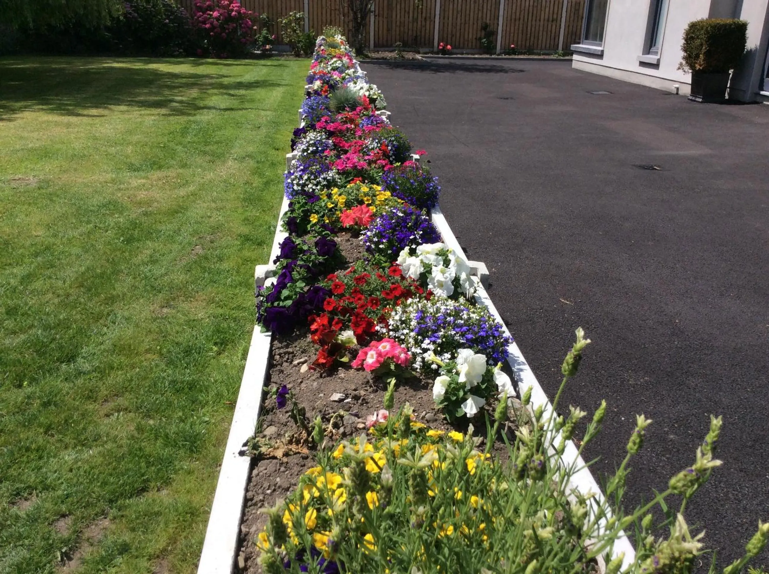 Garden in The Gardens guest accommodation