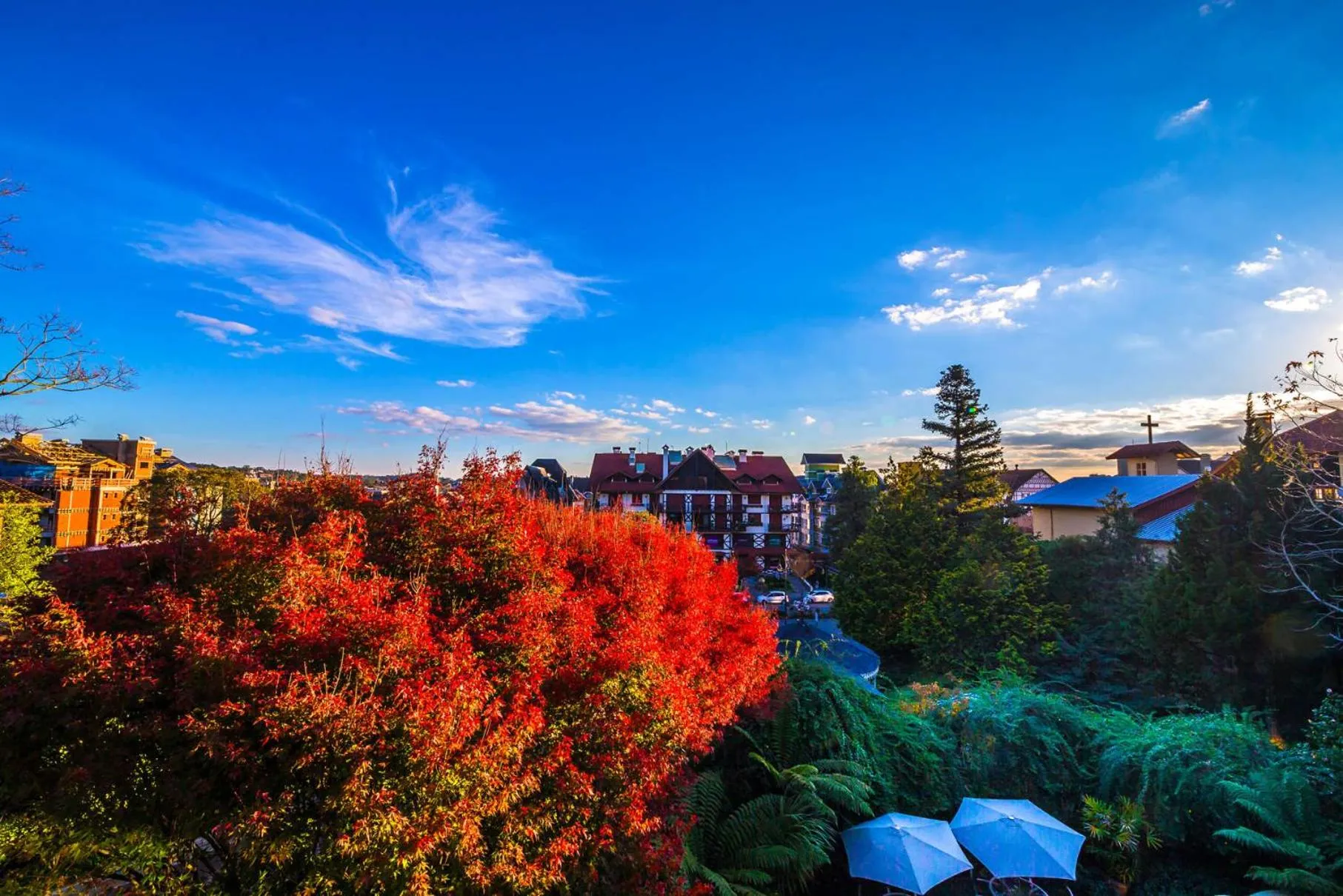 Natural landscape in Hotel Casa da Montanha