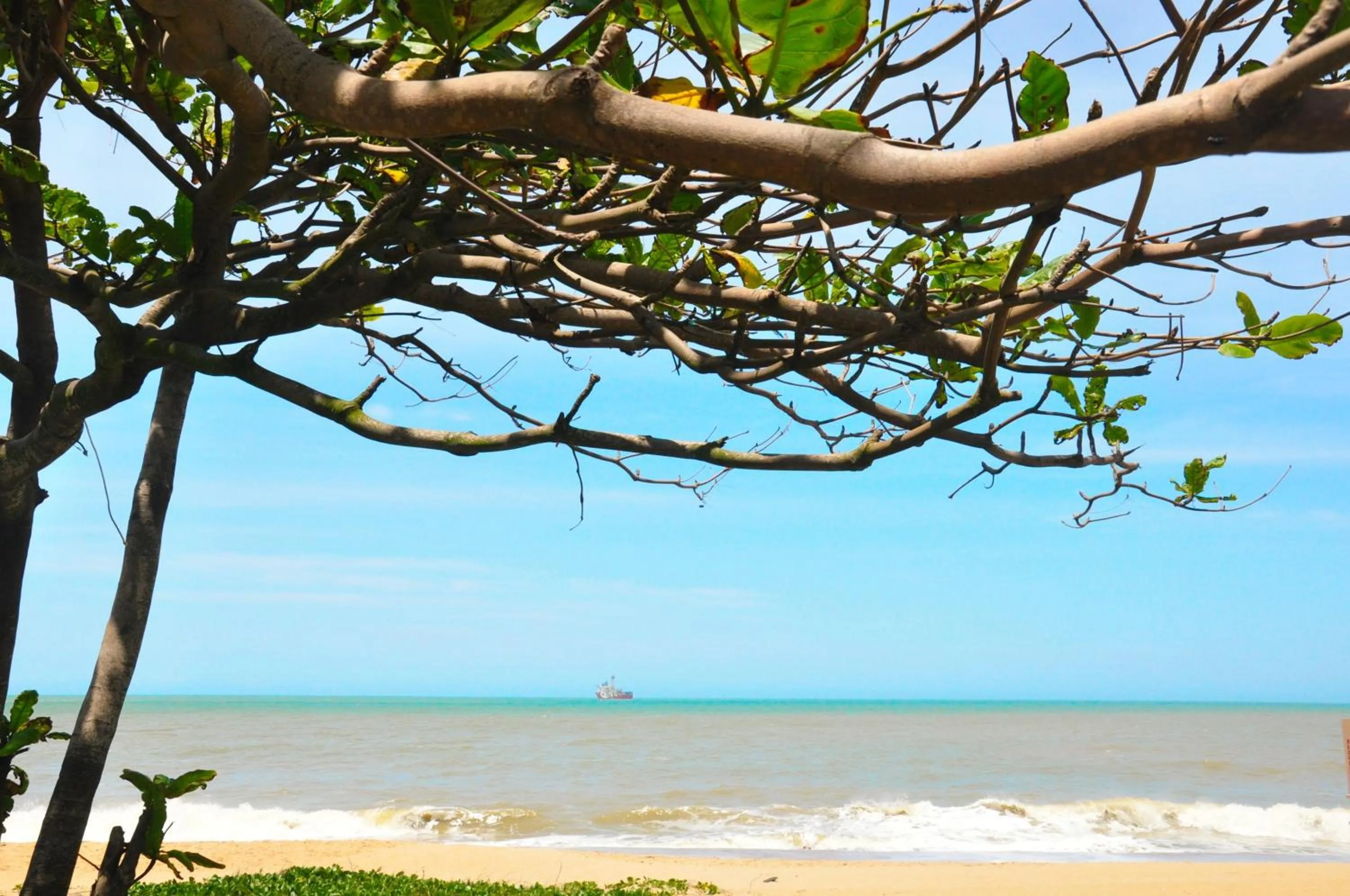 Natural landscape in Royal Macaé Palace Hotel