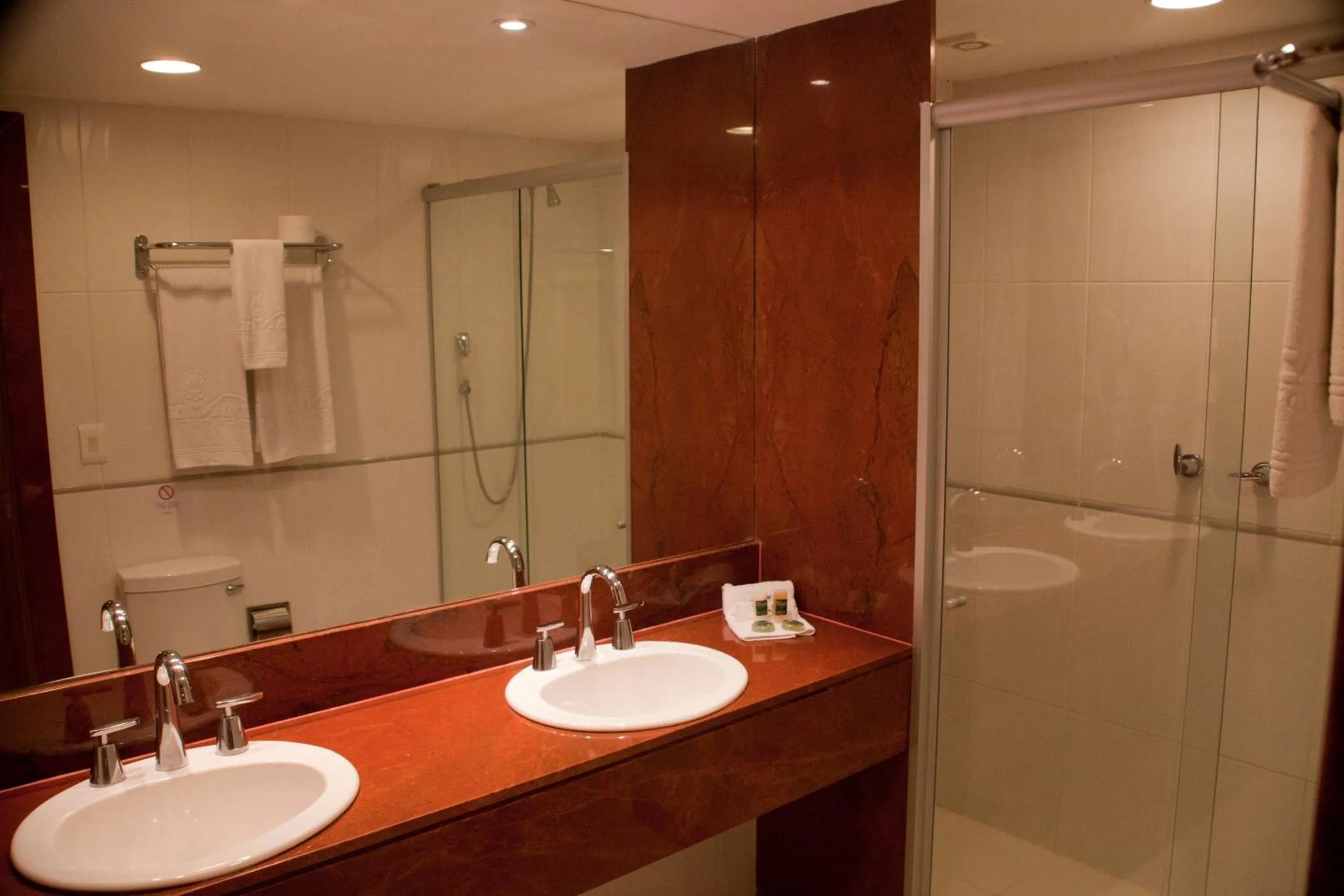 Shower in Royal Macaé Palace Hotel