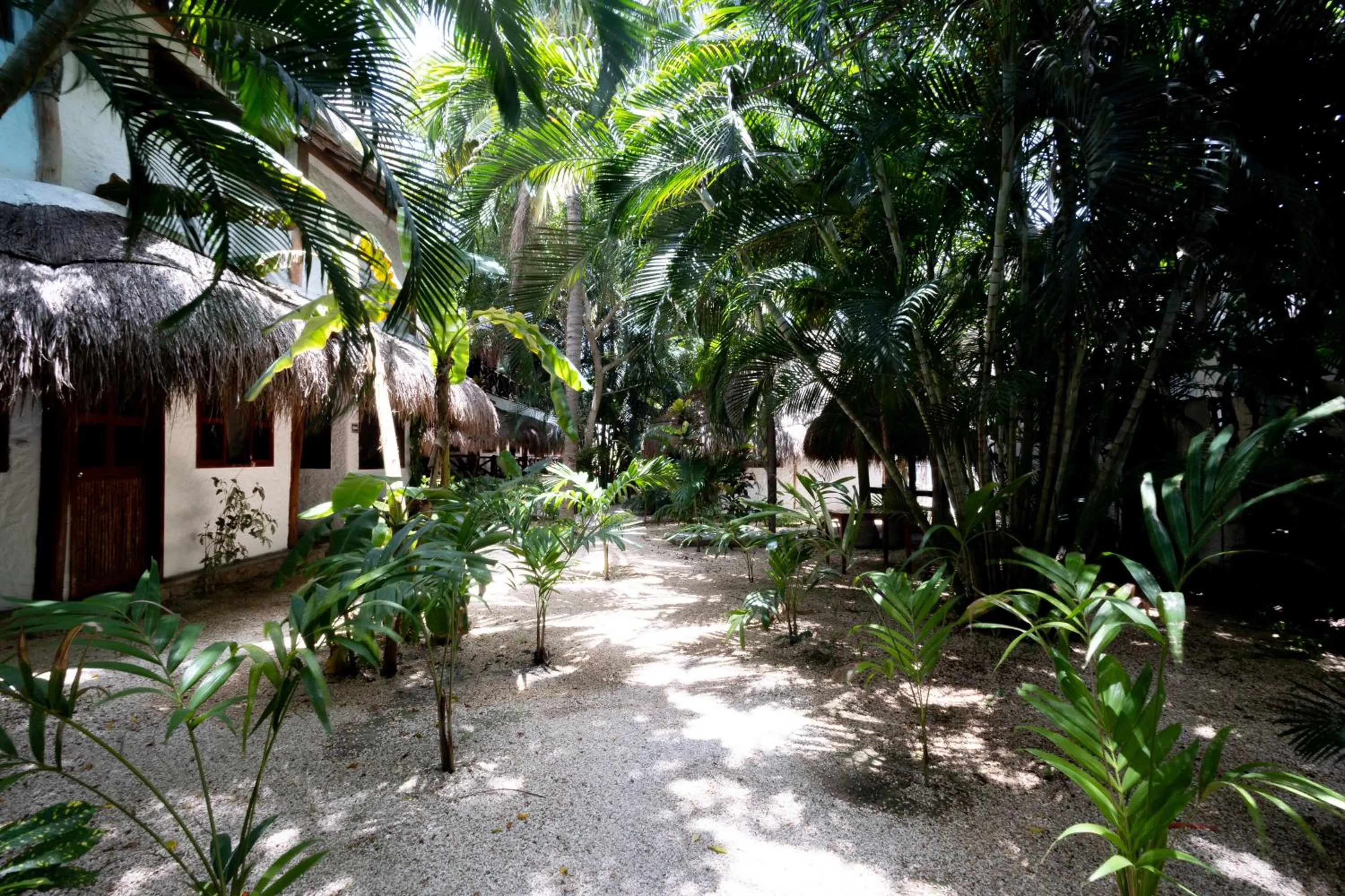 Garden in Hotel Casa Barbara Holbox