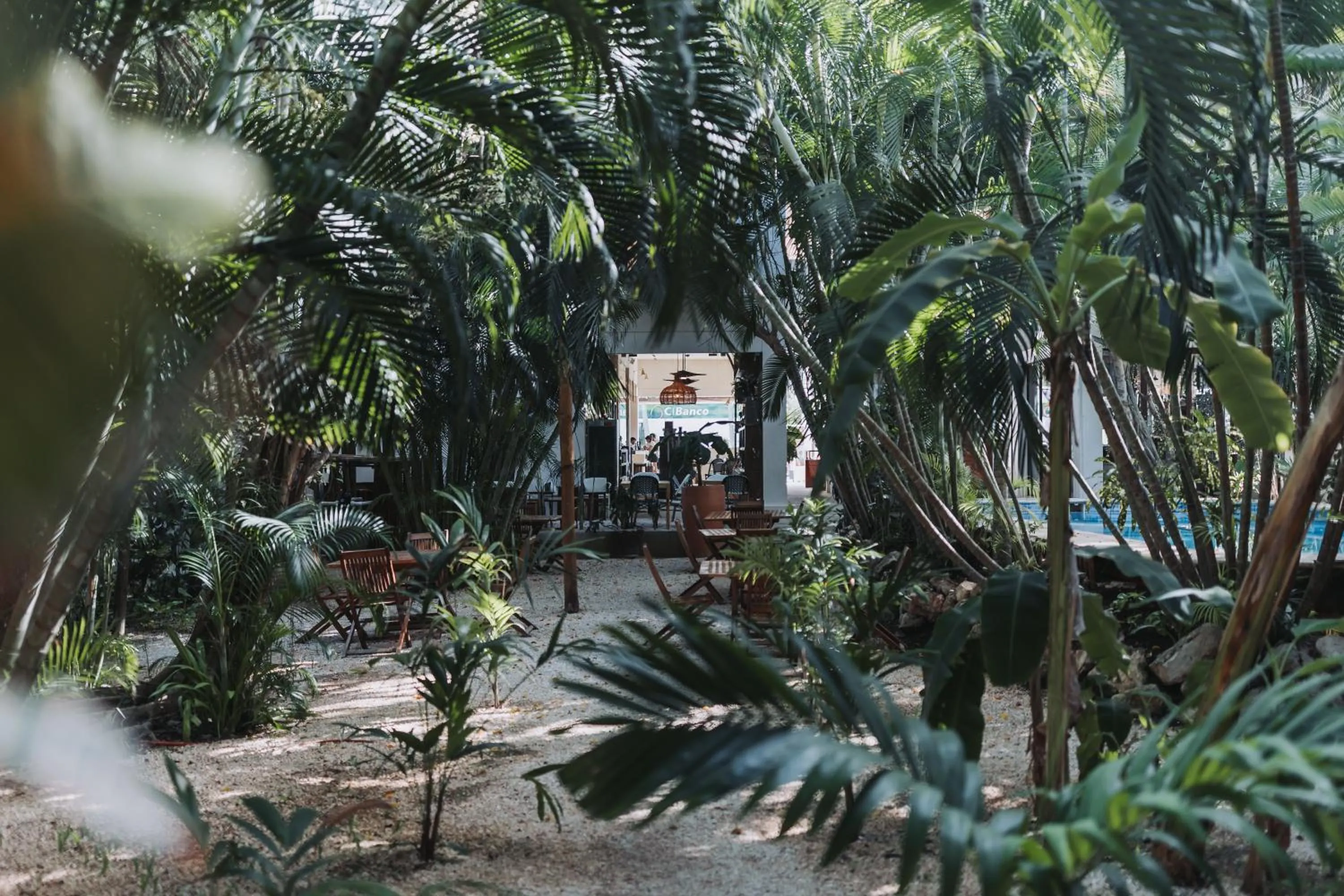 Day in Hotel Casa Barbara Holbox