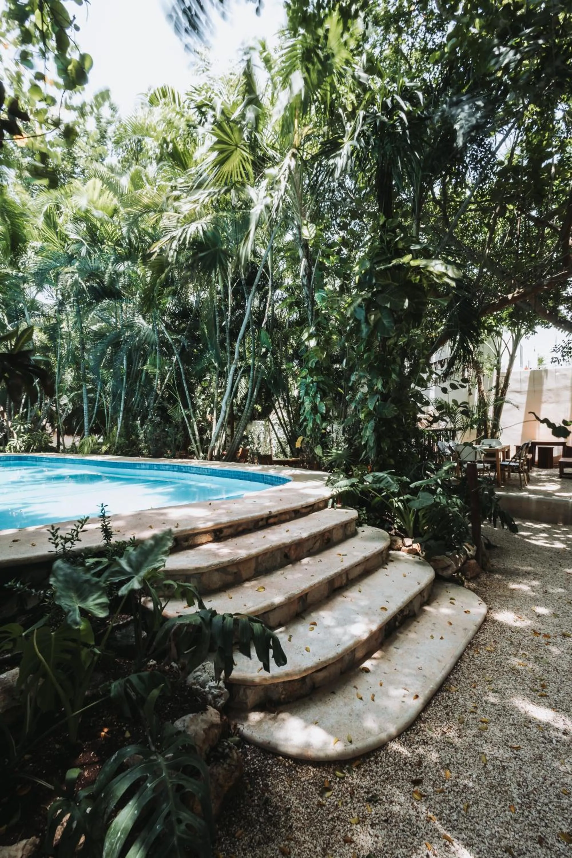 Swimming pool in Hotel Casa Barbara Holbox