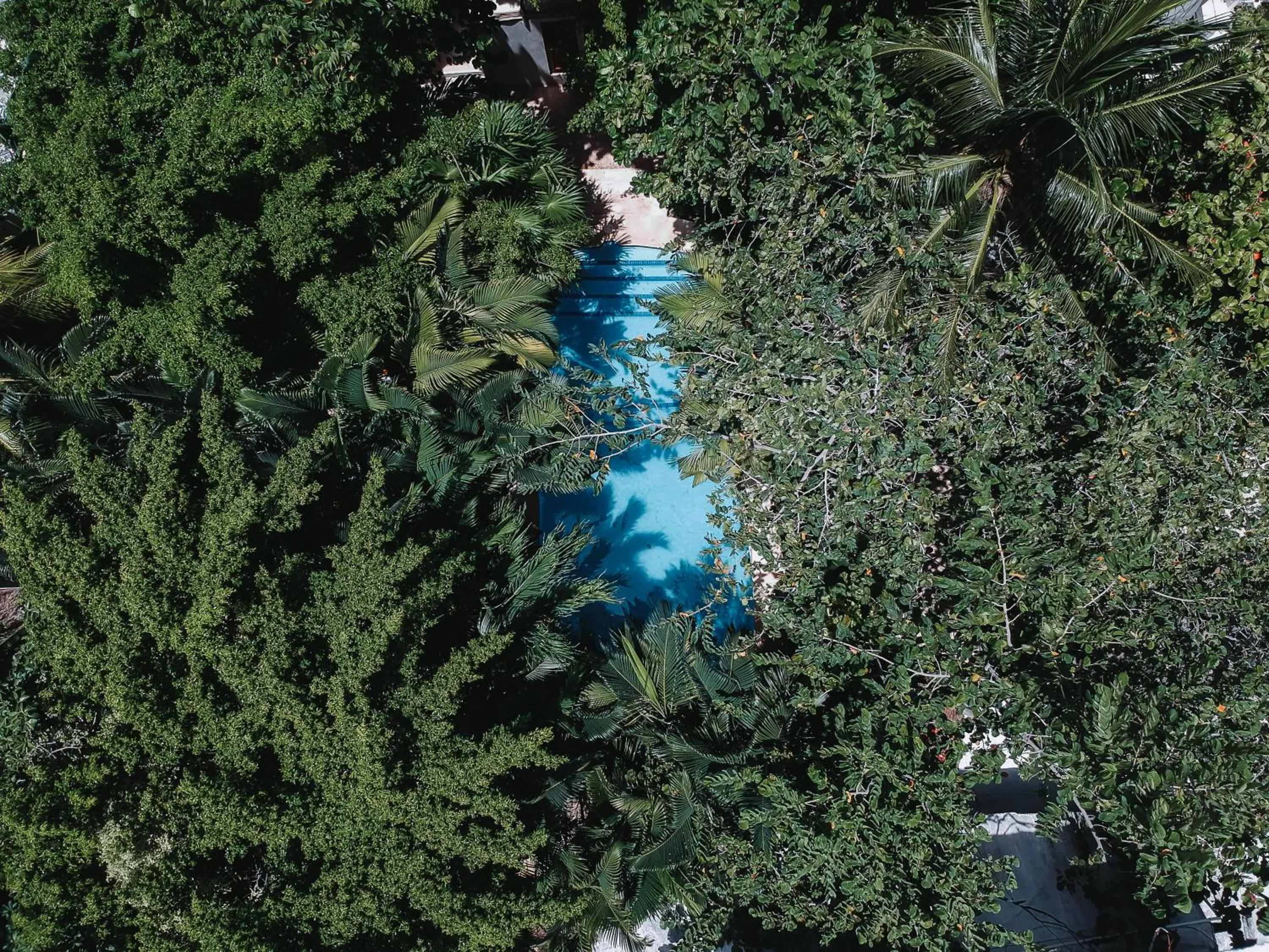 Swimming pool in Hotel Casa Barbara Holbox