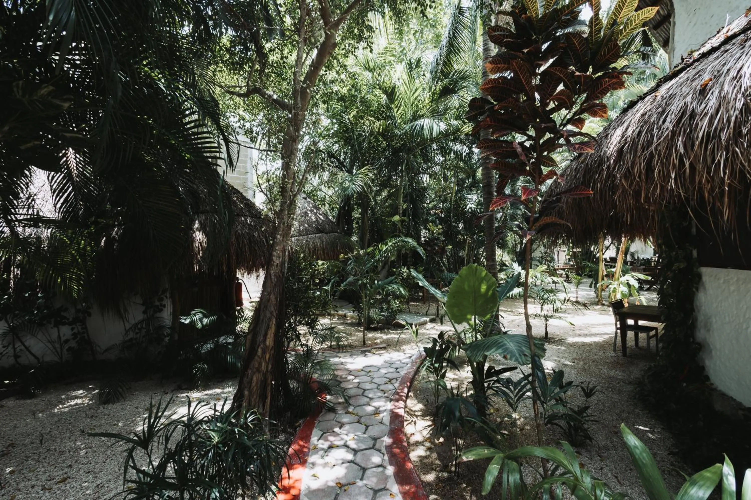 Day in Hotel Casa Barbara Holbox