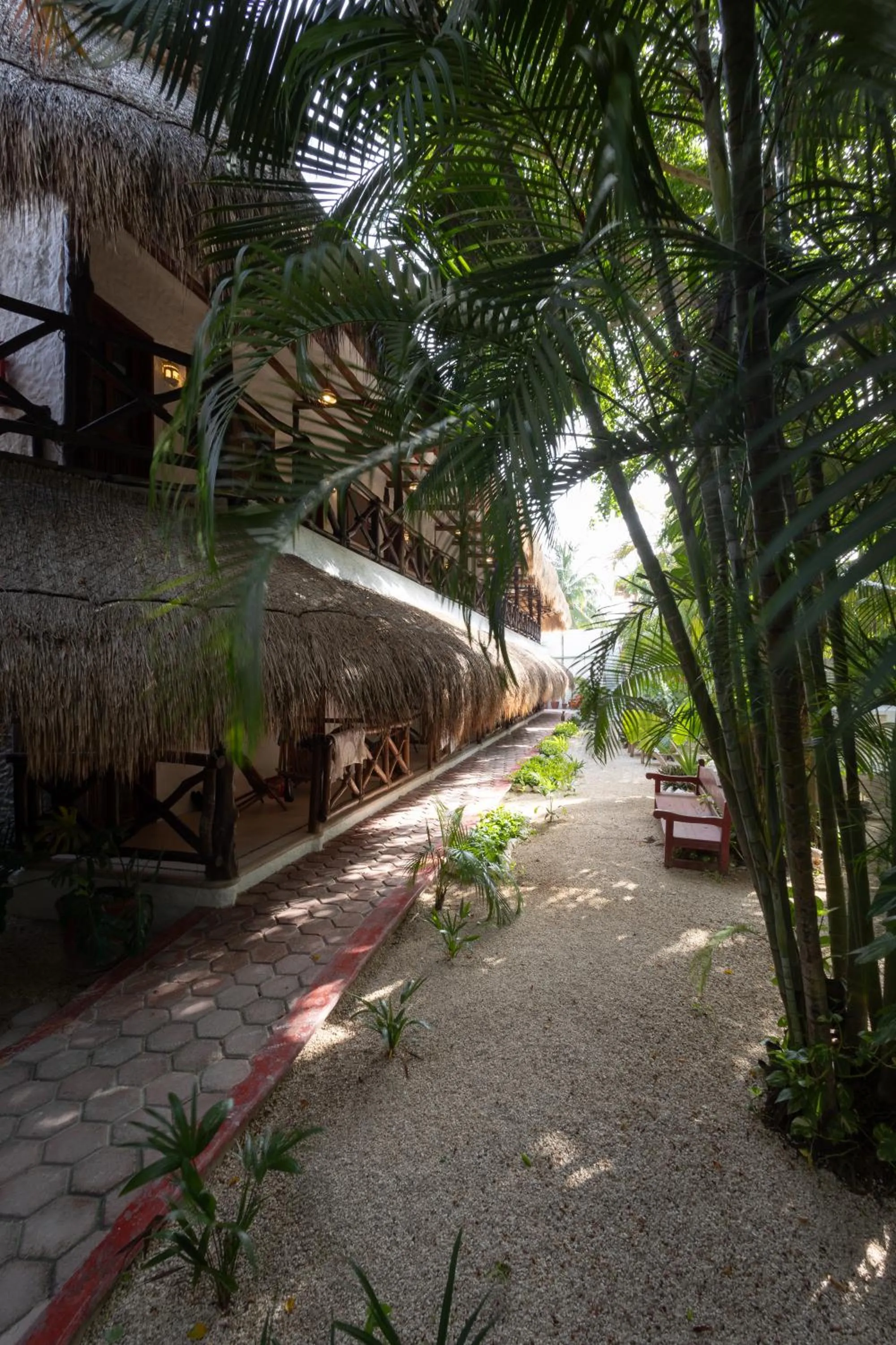 Day in Hotel Casa Barbara Holbox