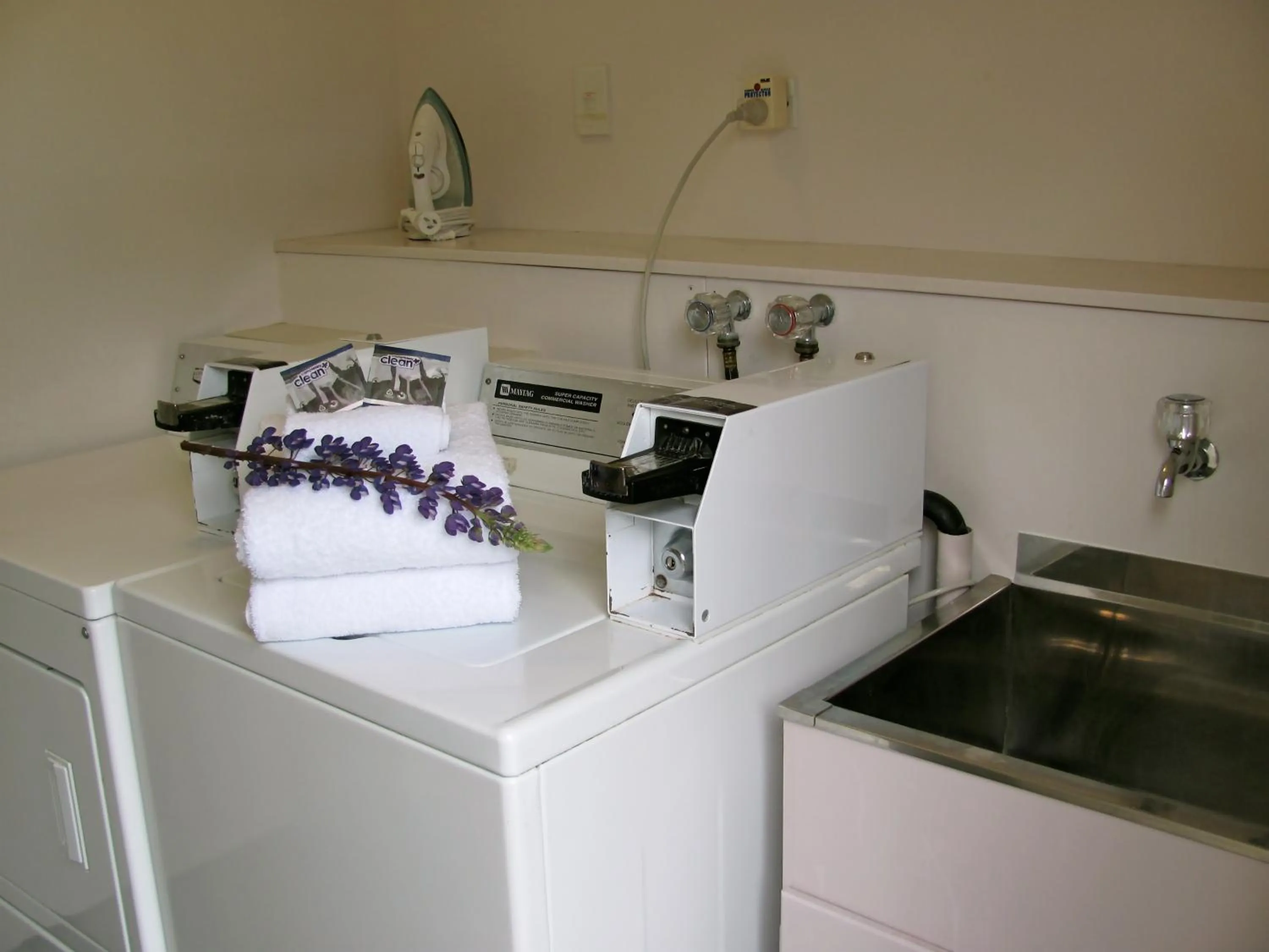 Other in The Terrace