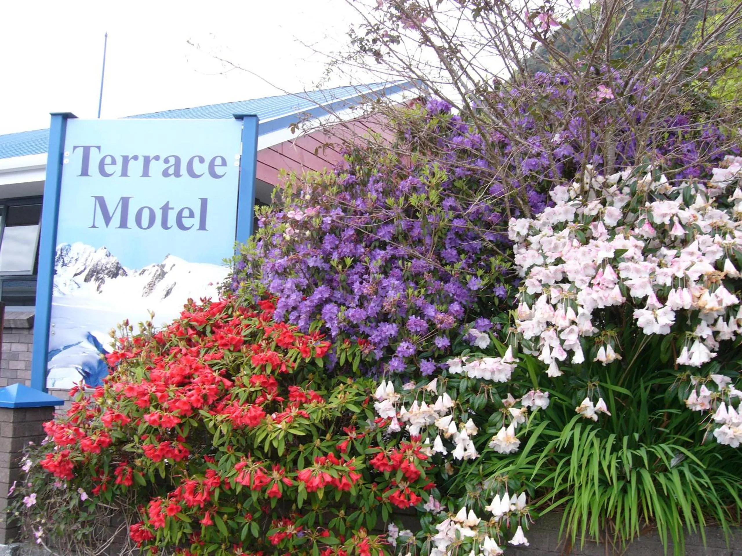 Garden view in The Terrace