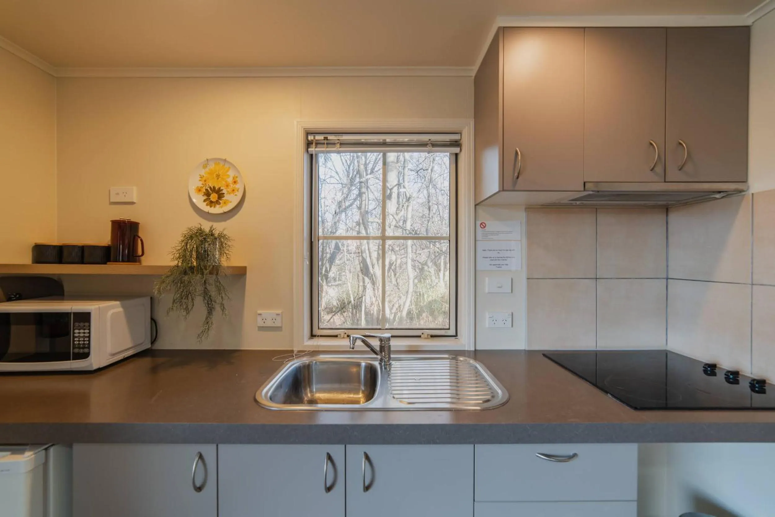 Lake Tekapo Cottages