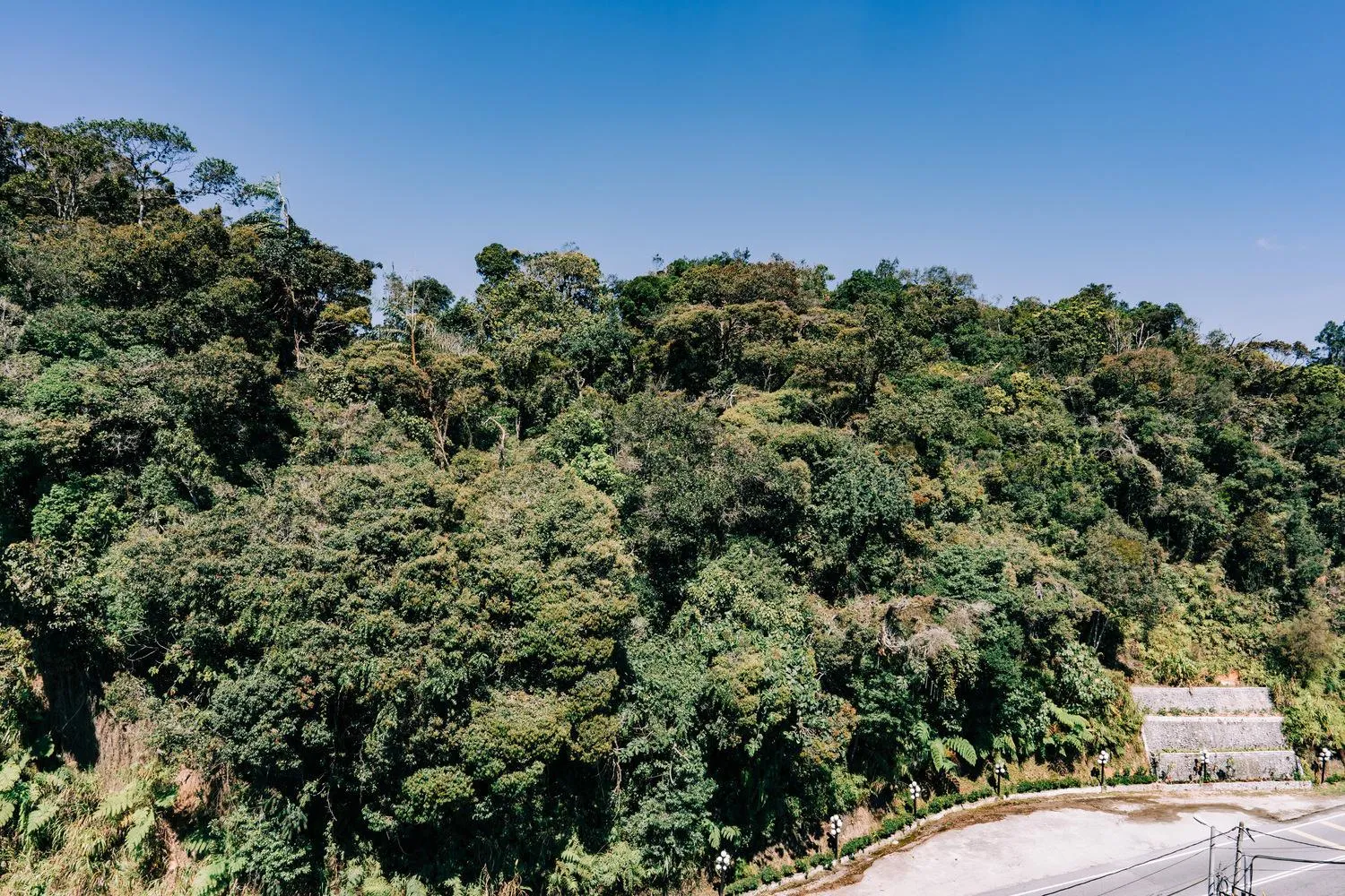 Hotel De' La Ferns, Cameron Highlands