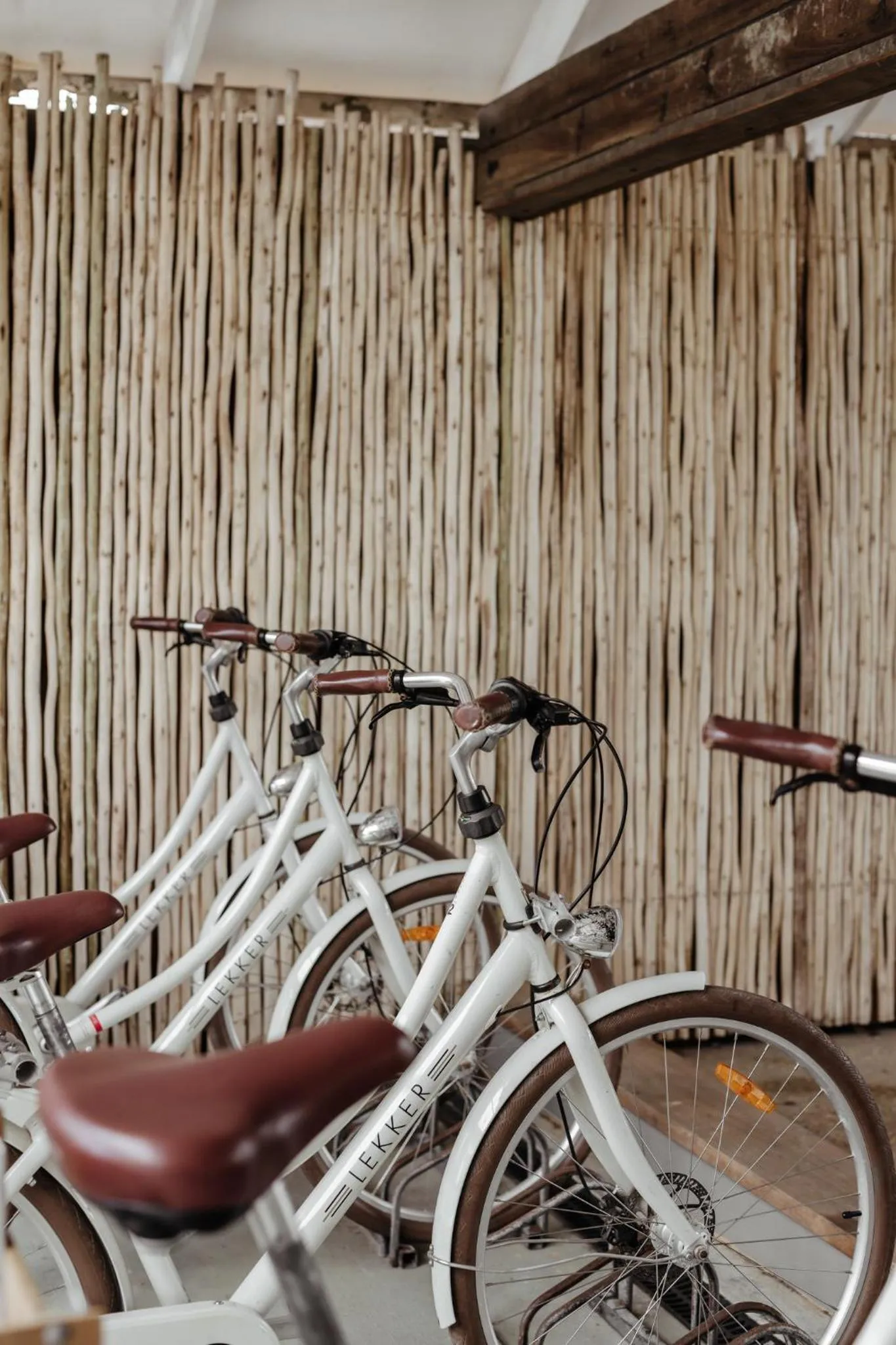 Cycling in The Lord Byron