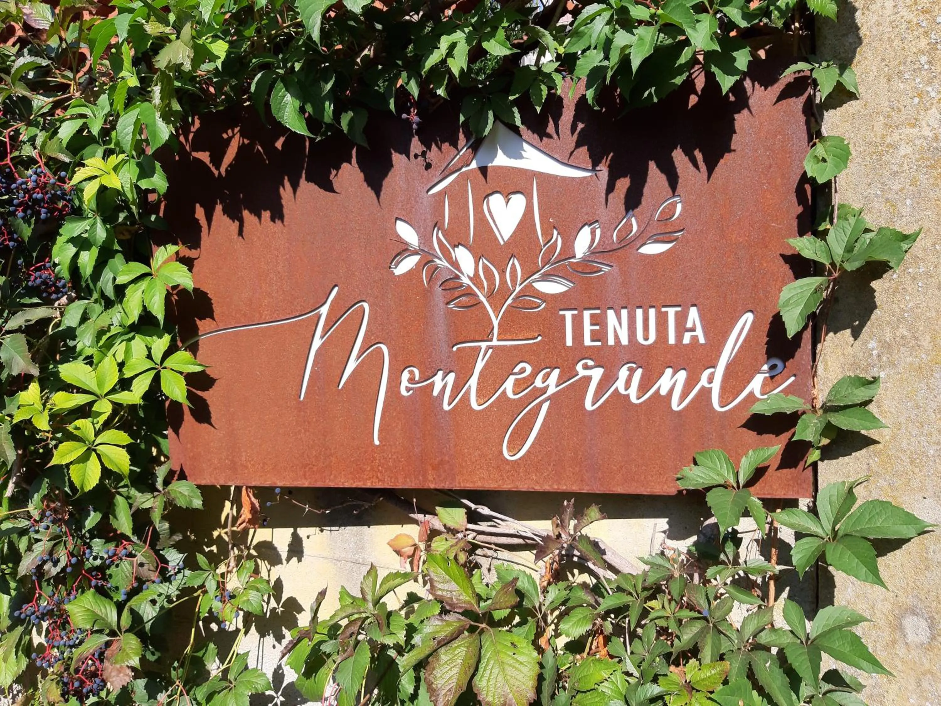 Property logo or sign in B&B Tenuta Montegrande