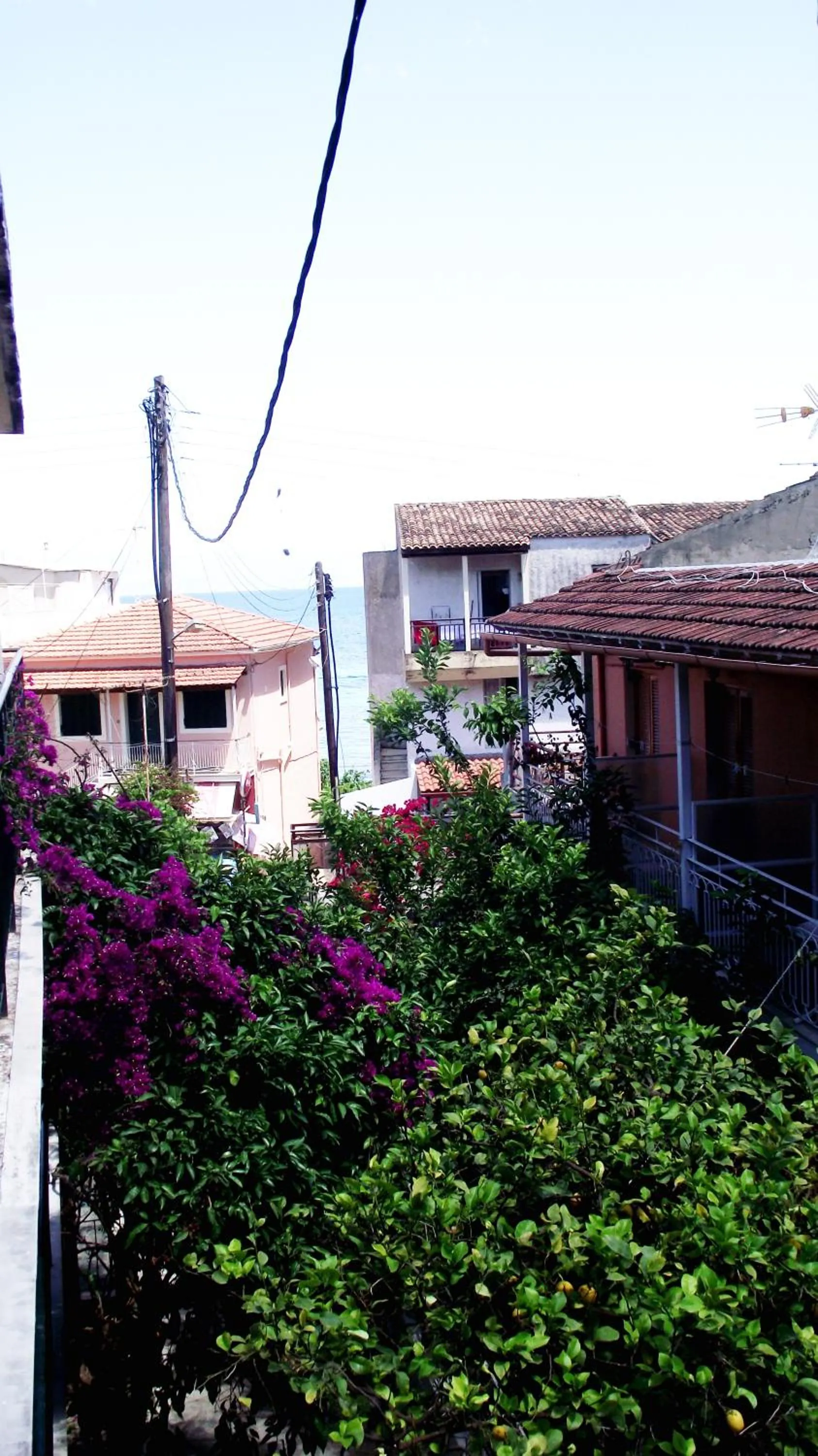 Facade/entrance in Avra Budget Beach Rooms