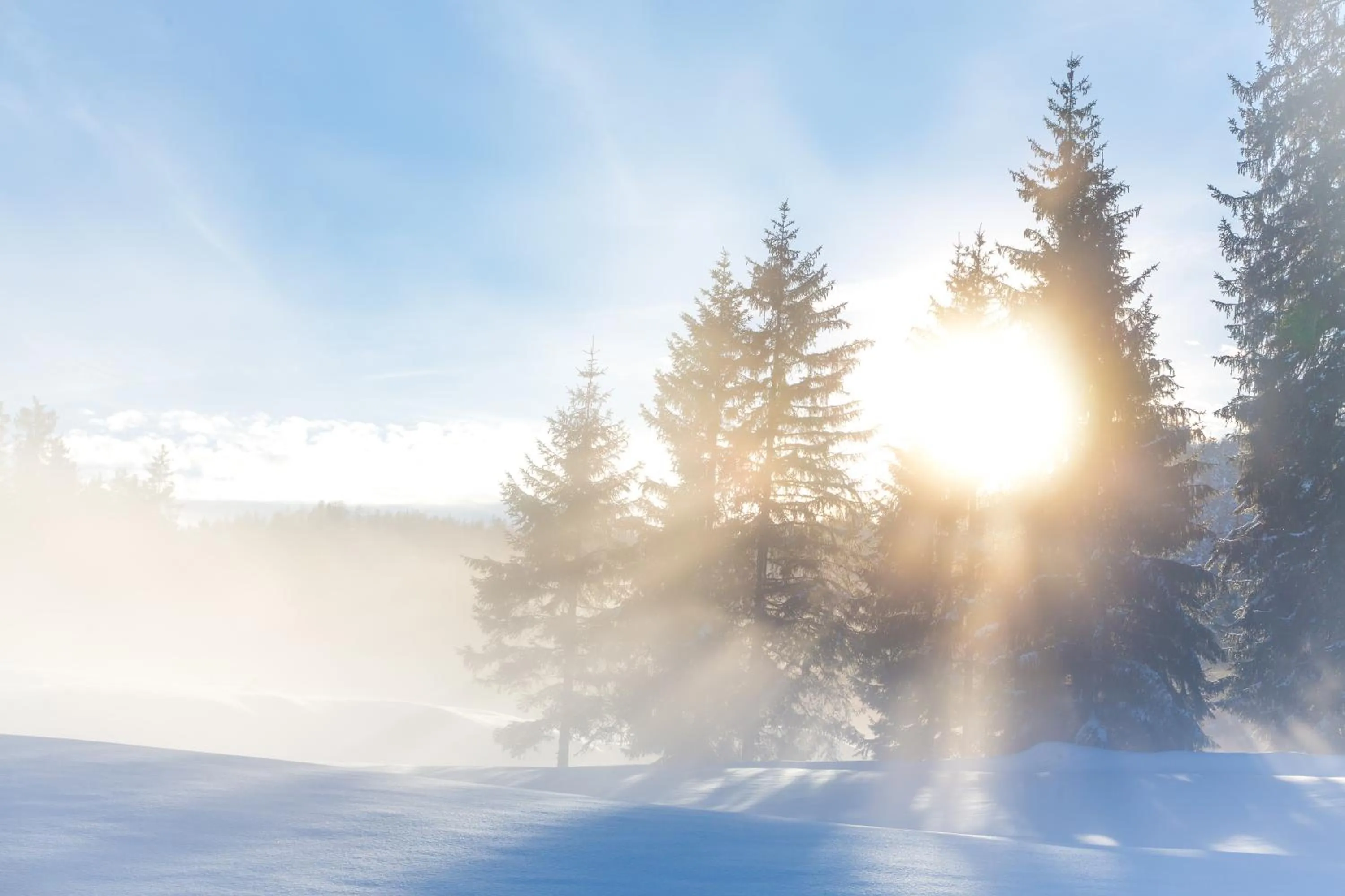 Natural landscape in Appartement- und Wellnesshotel Charlotte - 3 Sterne Superior