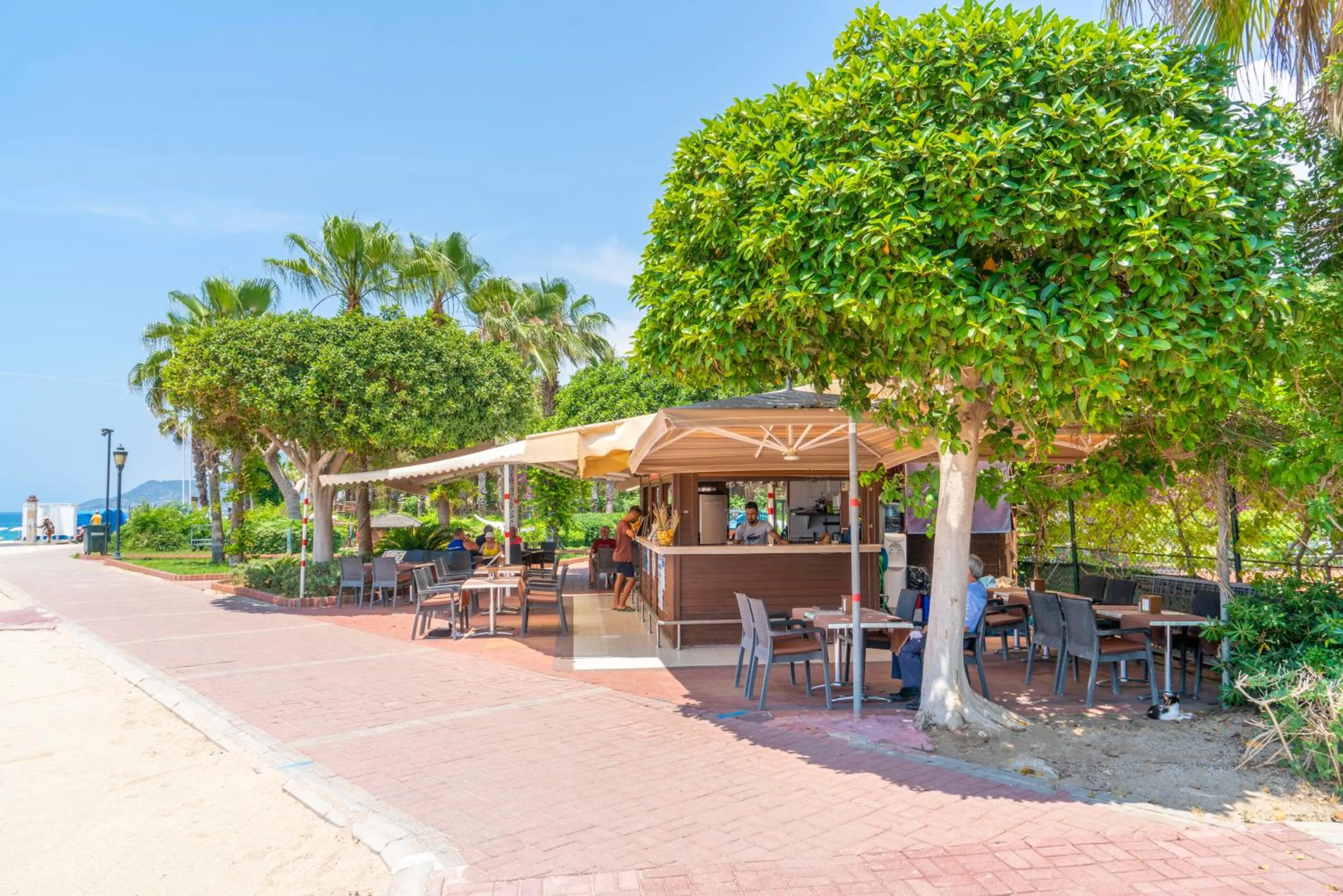 Dining area in Gardenia Hotel