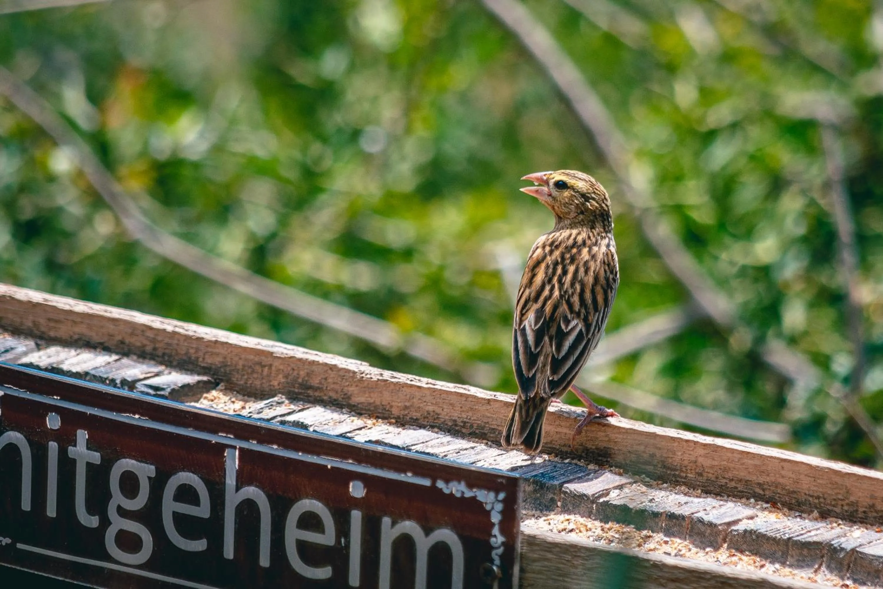 Property building in Hitgeheim Country Lodge