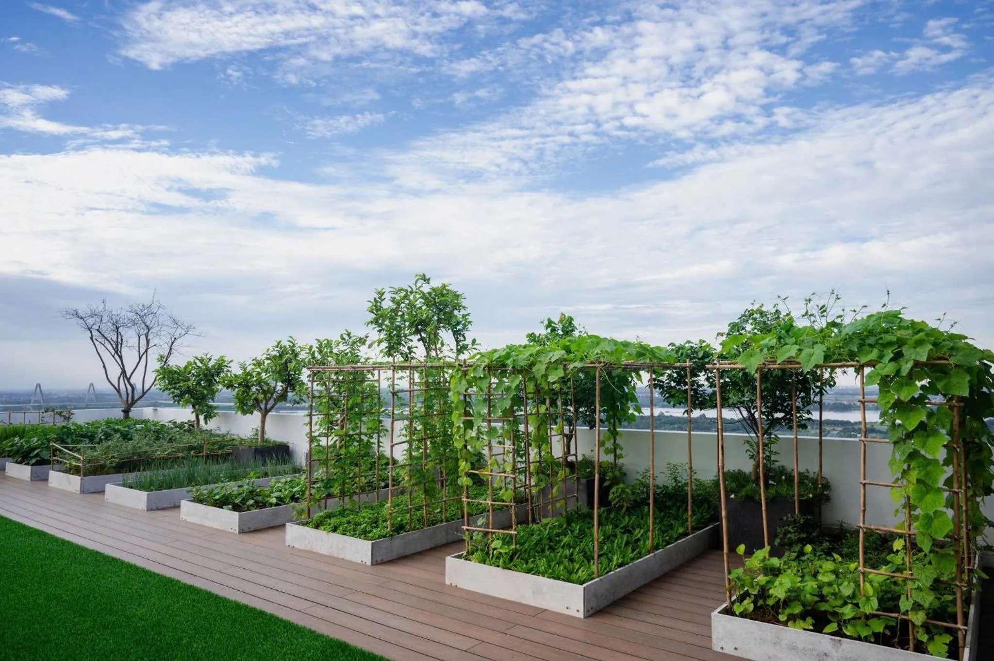 Garden in Somerset West Point Hanoi