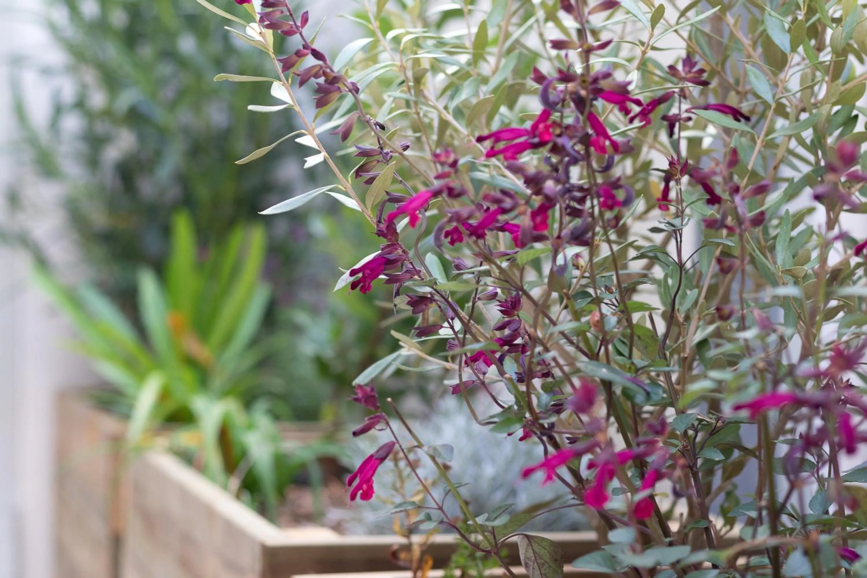Decorative detail in Residence le Pastel Jeanne d'Arc
