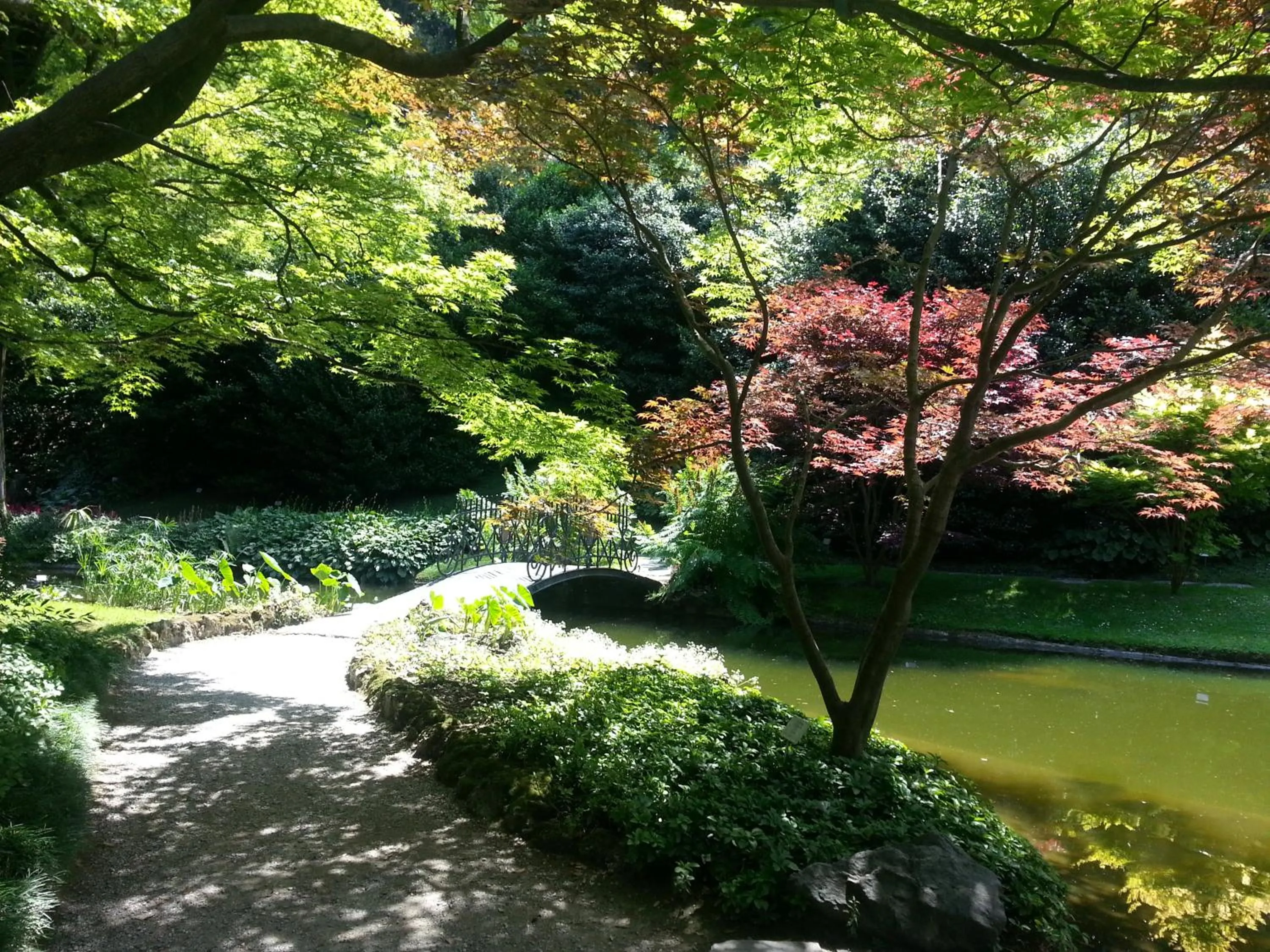 Area and facilities in Antico Pozzo Apartment