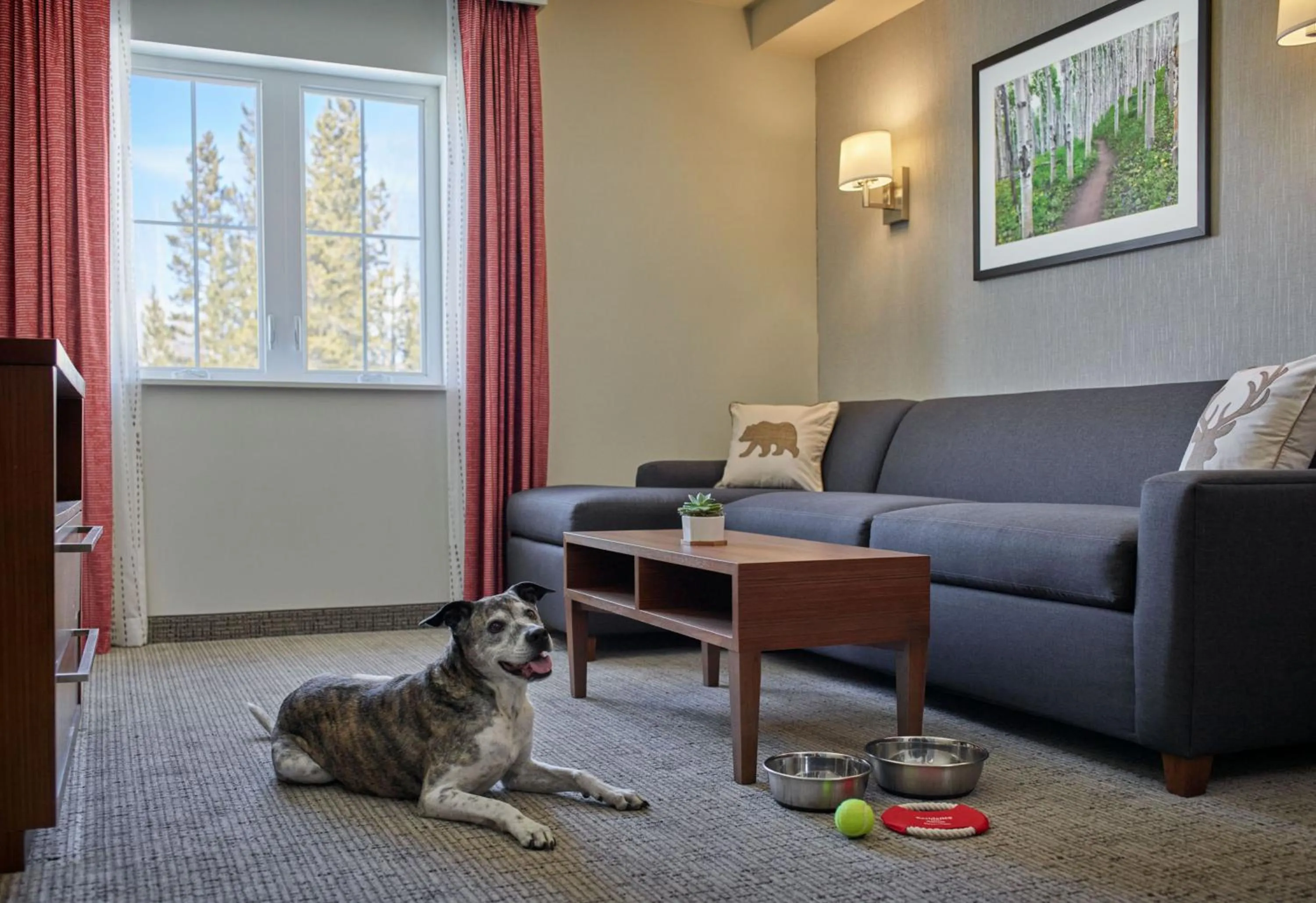 Living room in Residence Inn by Marriott Breckenridge