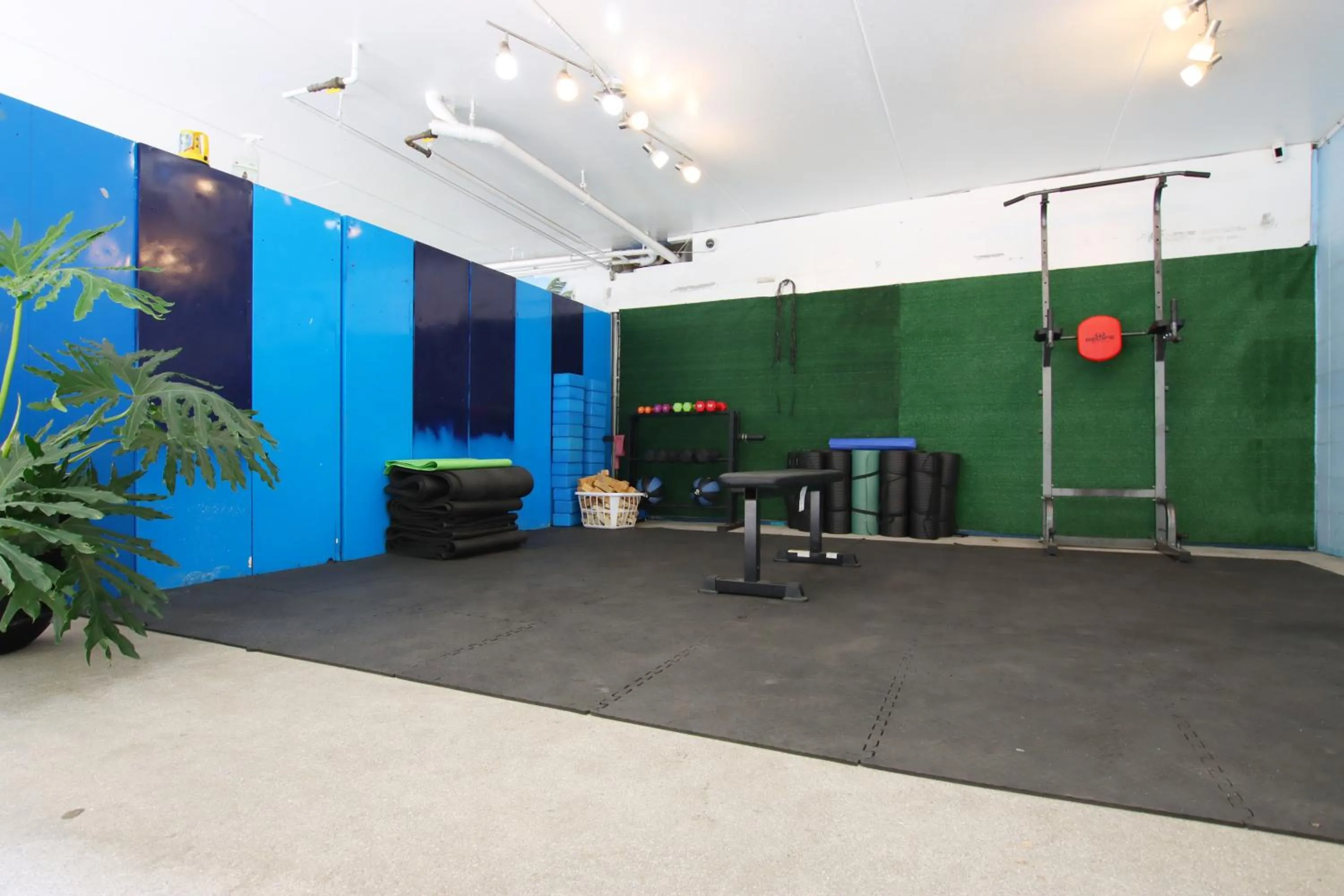 Activities in Waikiki Beachside Hostel