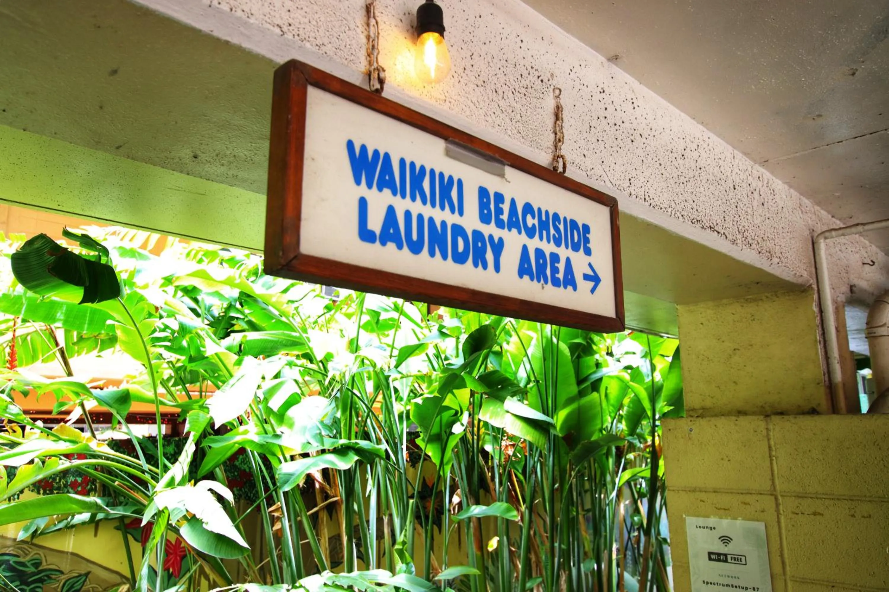 laundry in Waikiki Beachside Hostel
