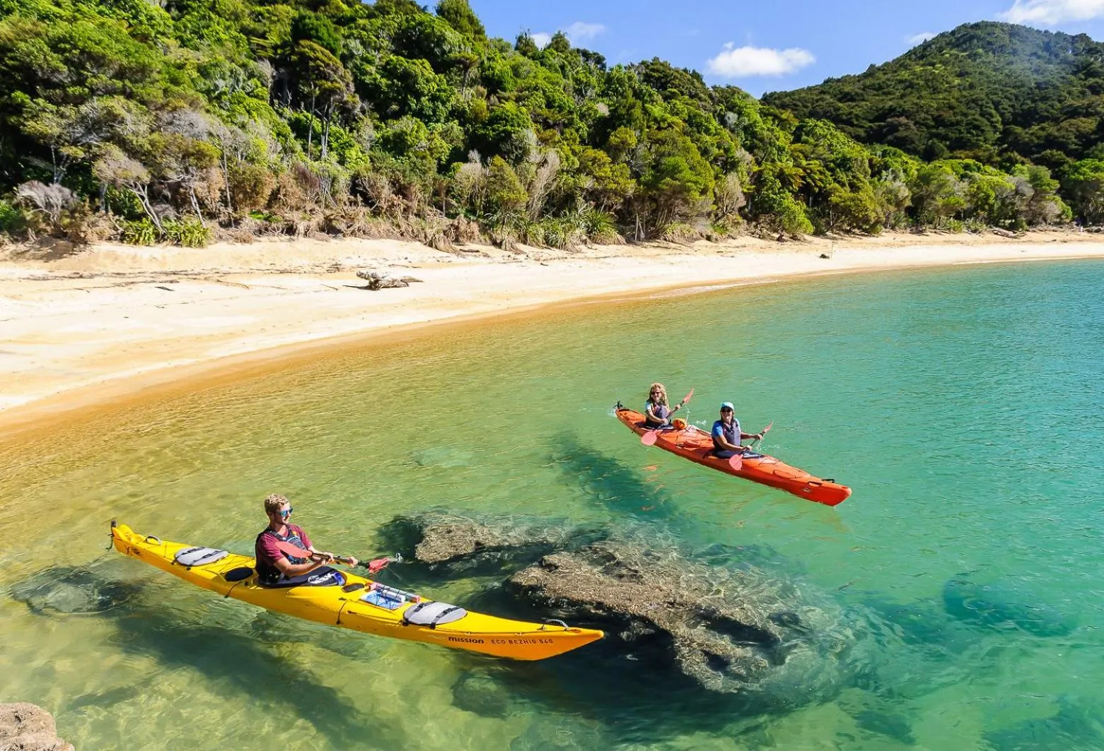 Activities in Century Park