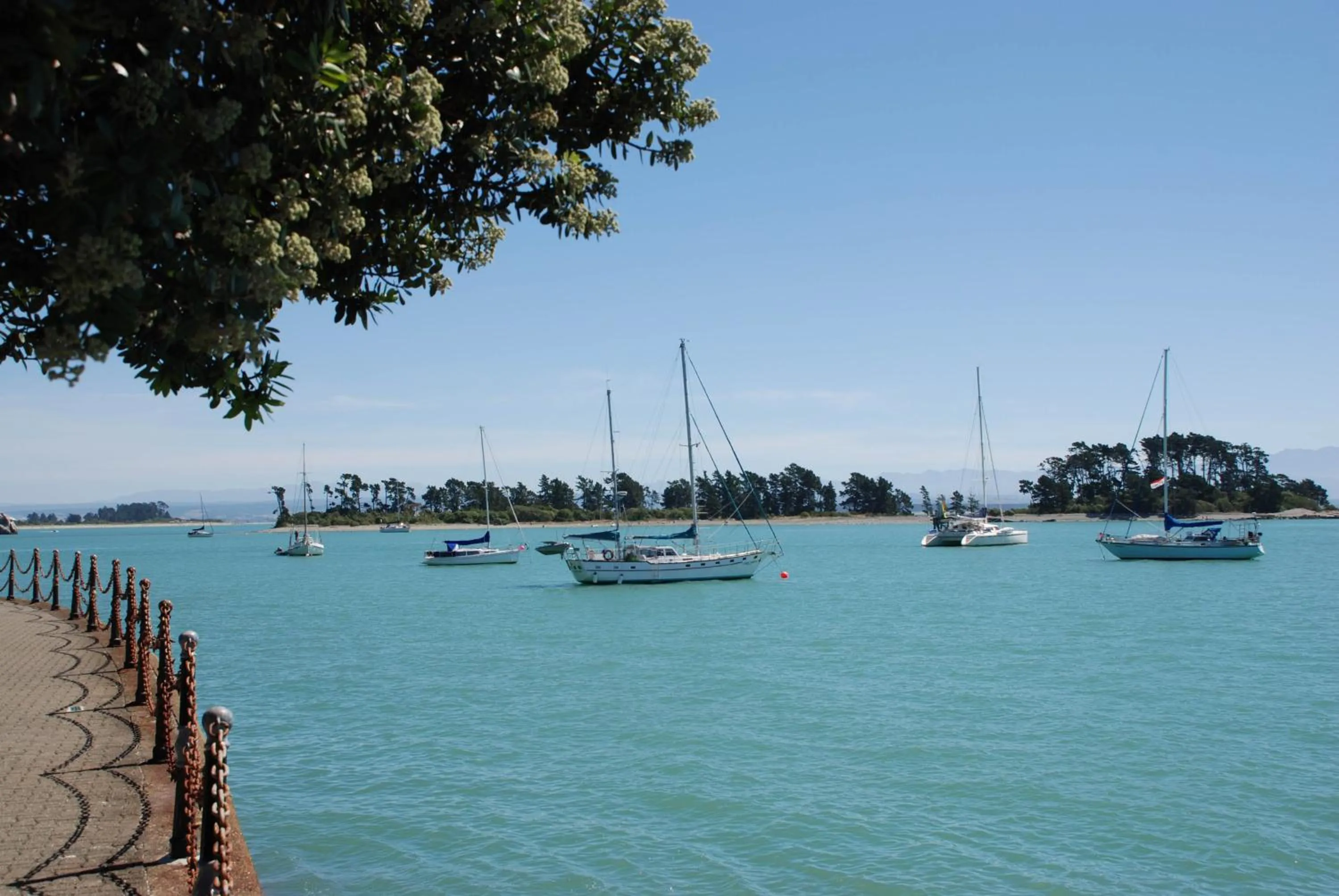 Natural landscape in Century Park