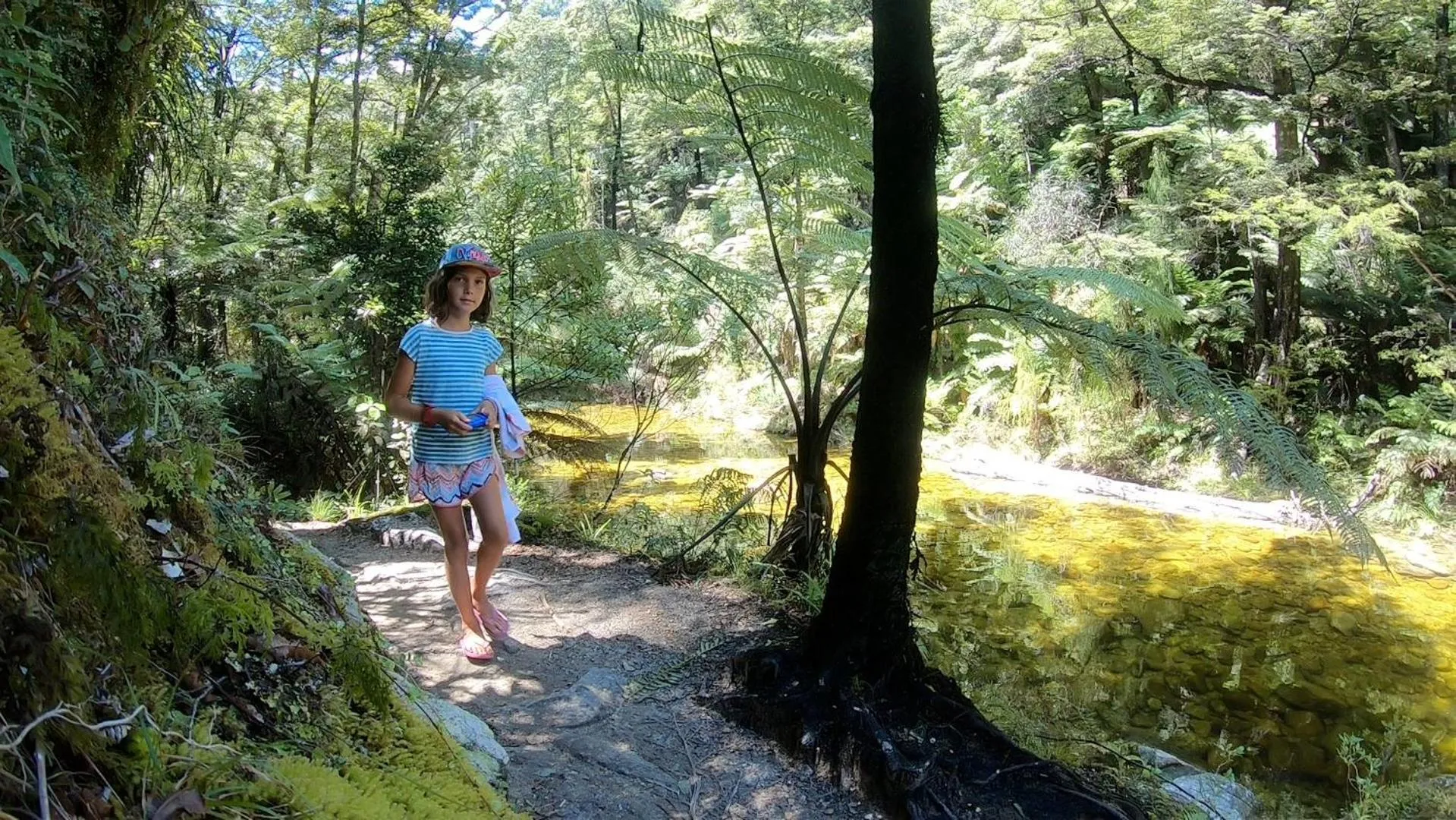 Natural landscape in Century Park