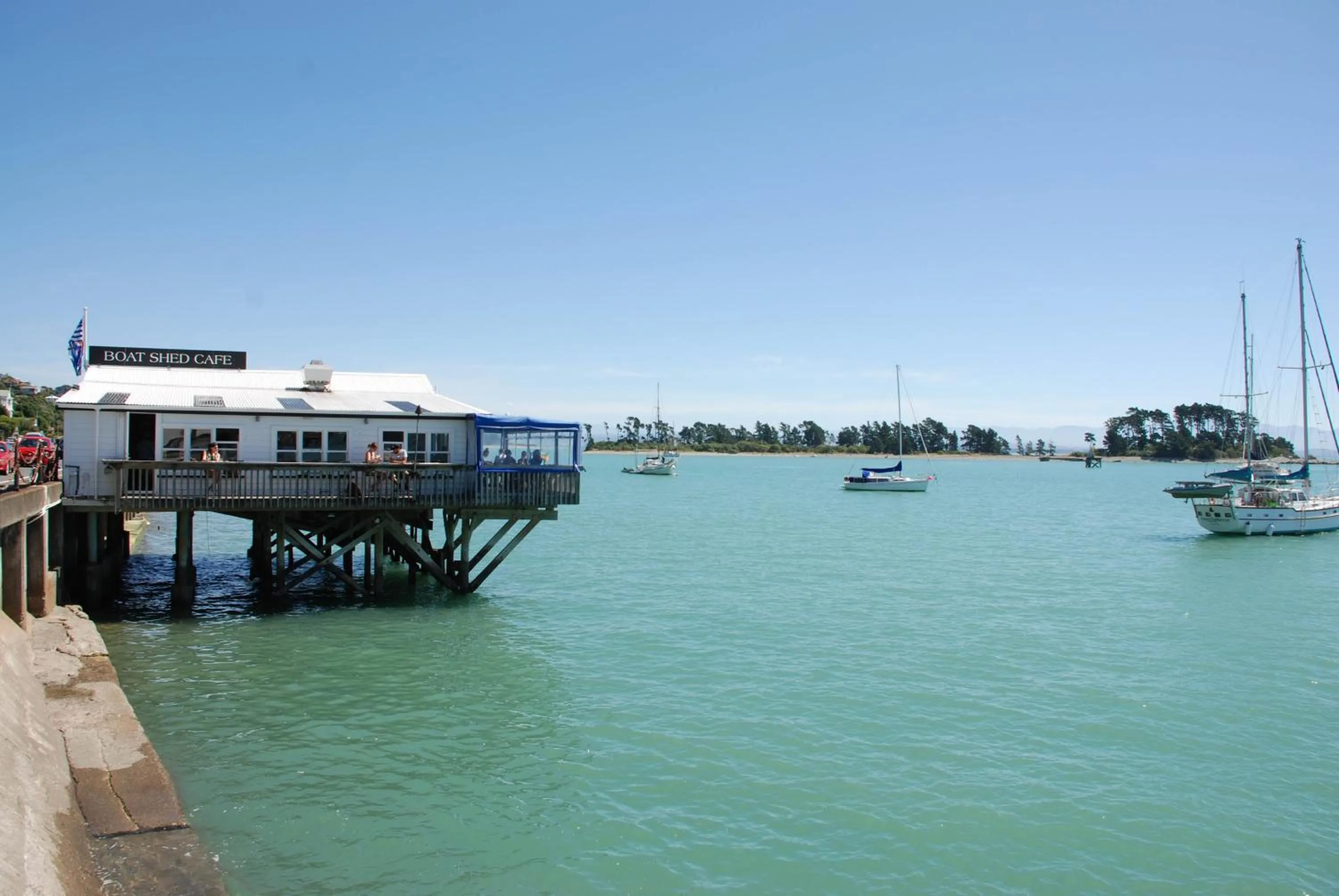 Natural landscape in Century Park