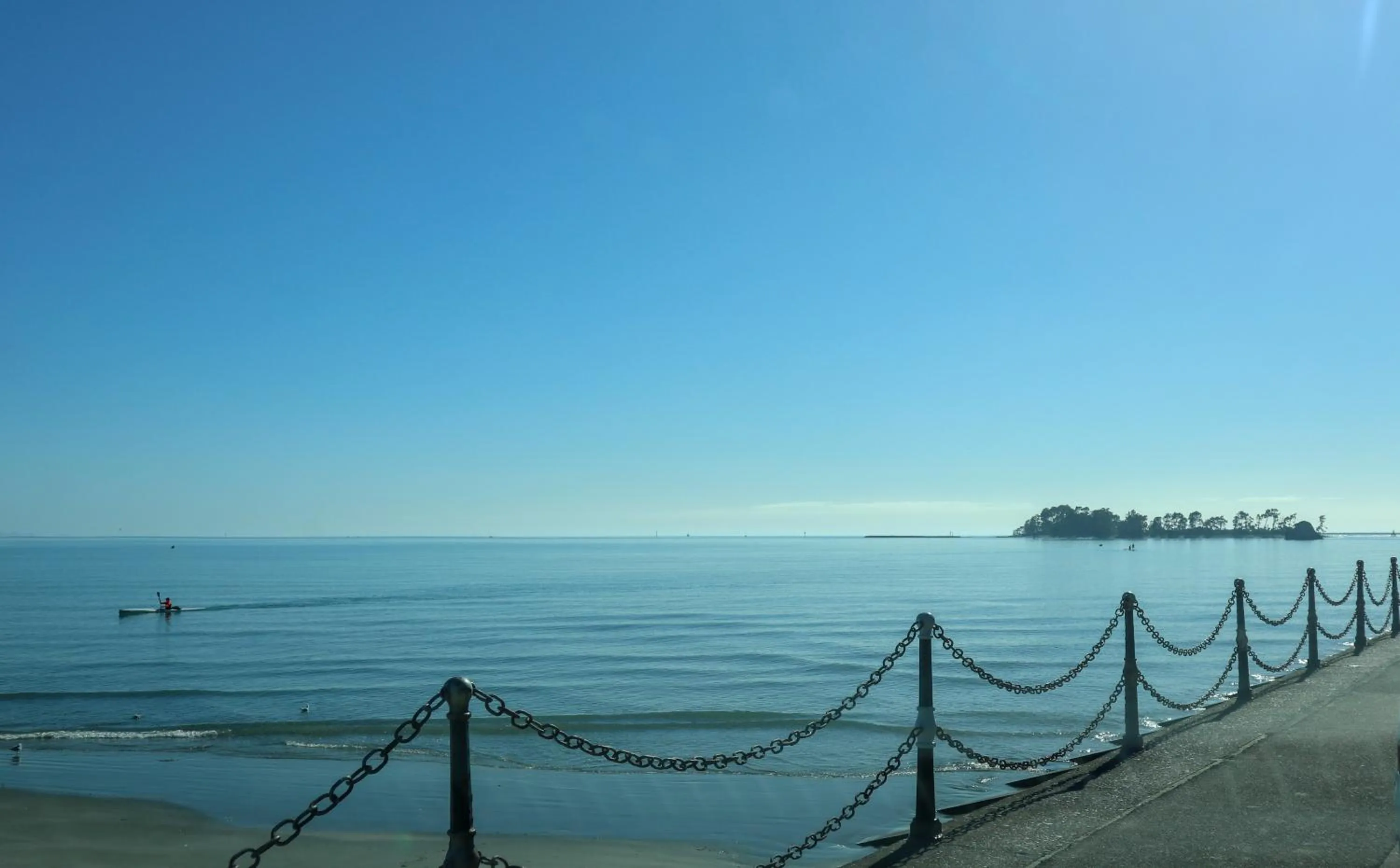 Natural landscape in Century Park