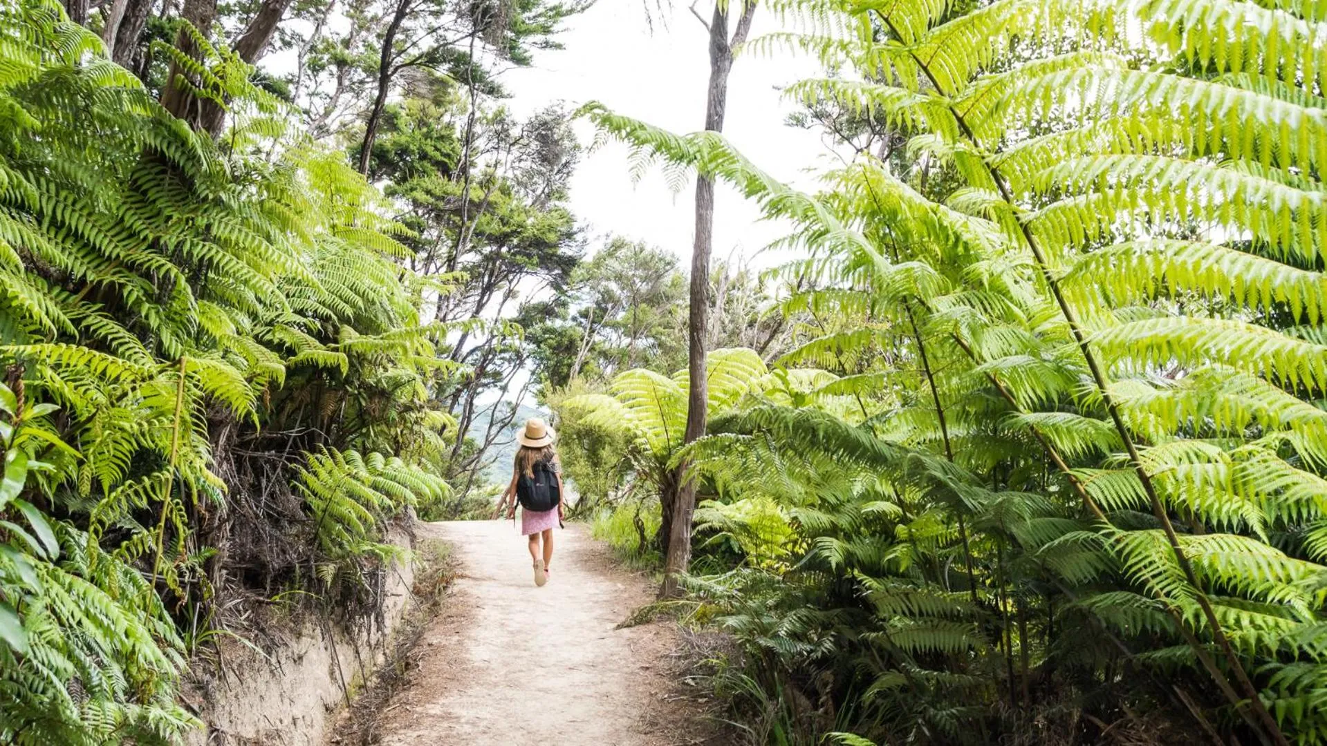 Natural landscape in Century Park