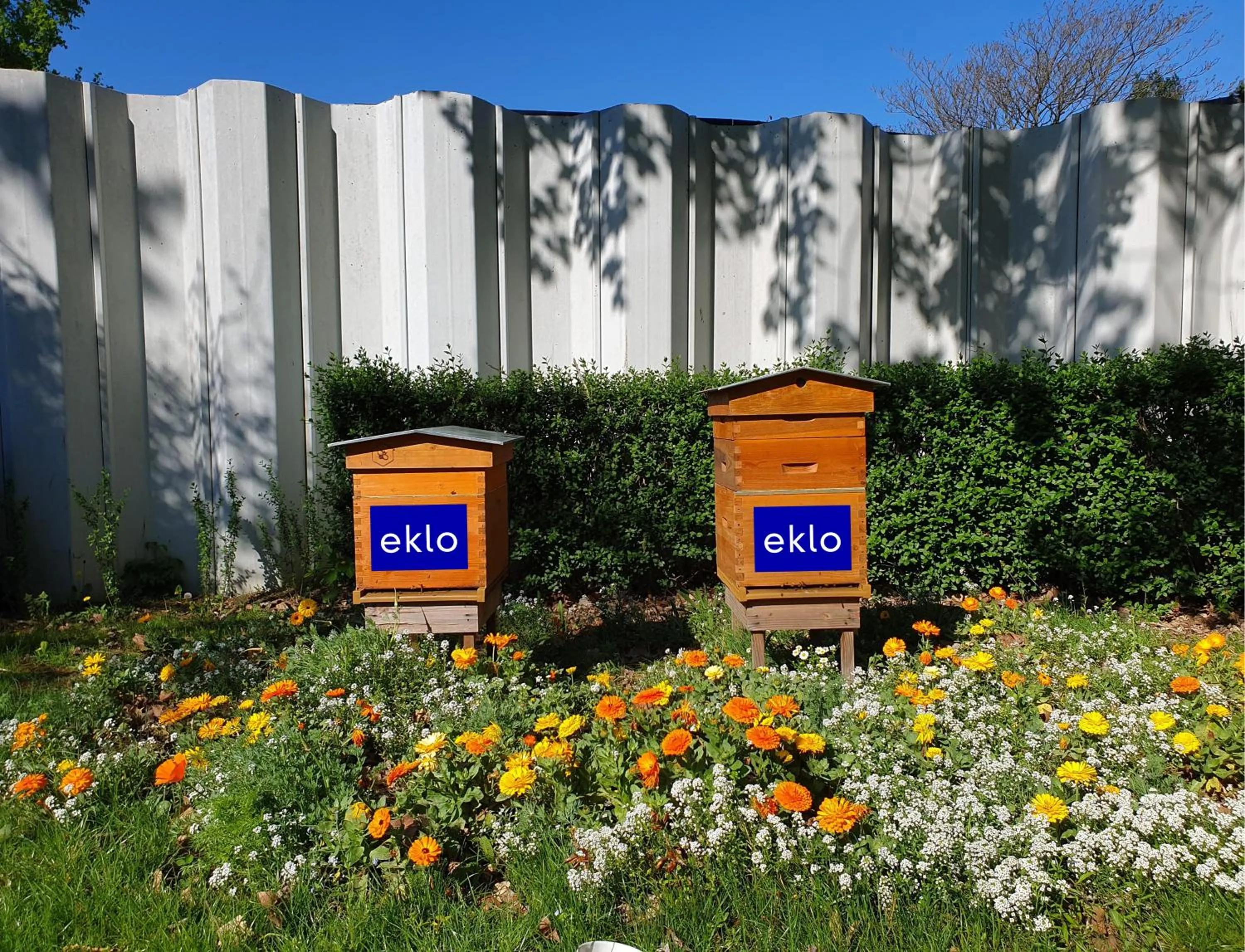 Natural landscape in Eklo Hotels Lille