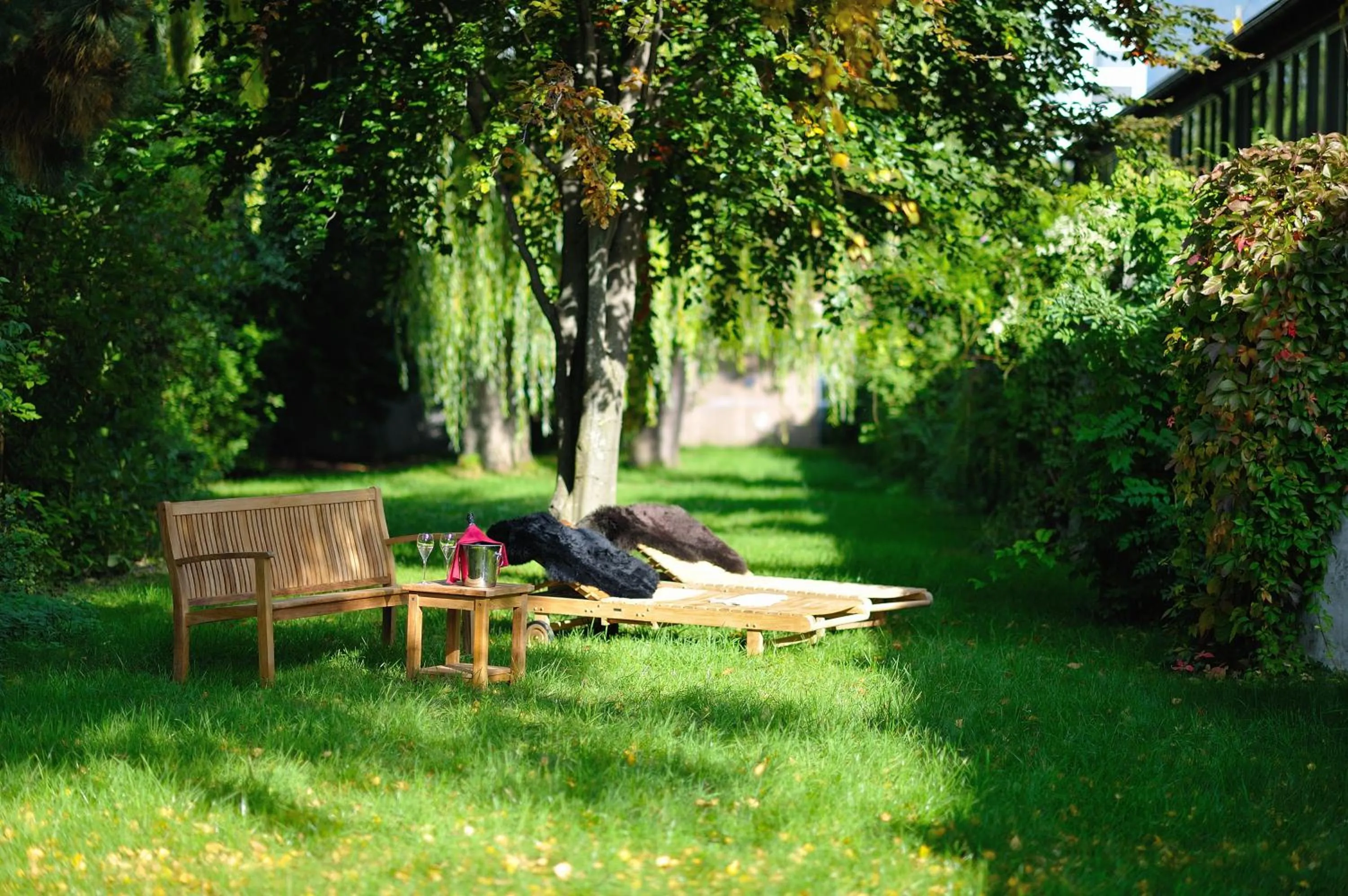 Garden in Hotel Sommerau