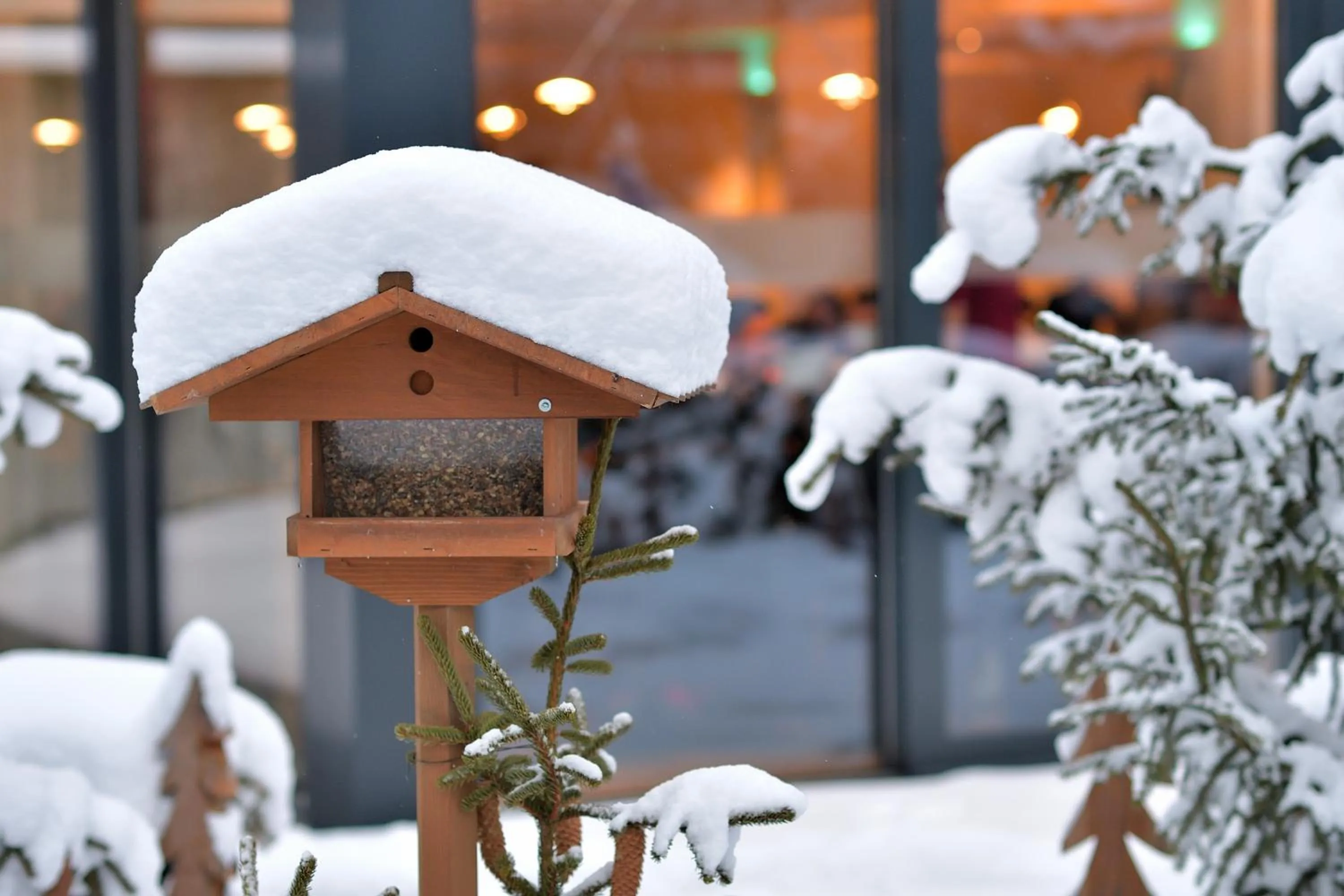 Animals in Hotel Sommerau