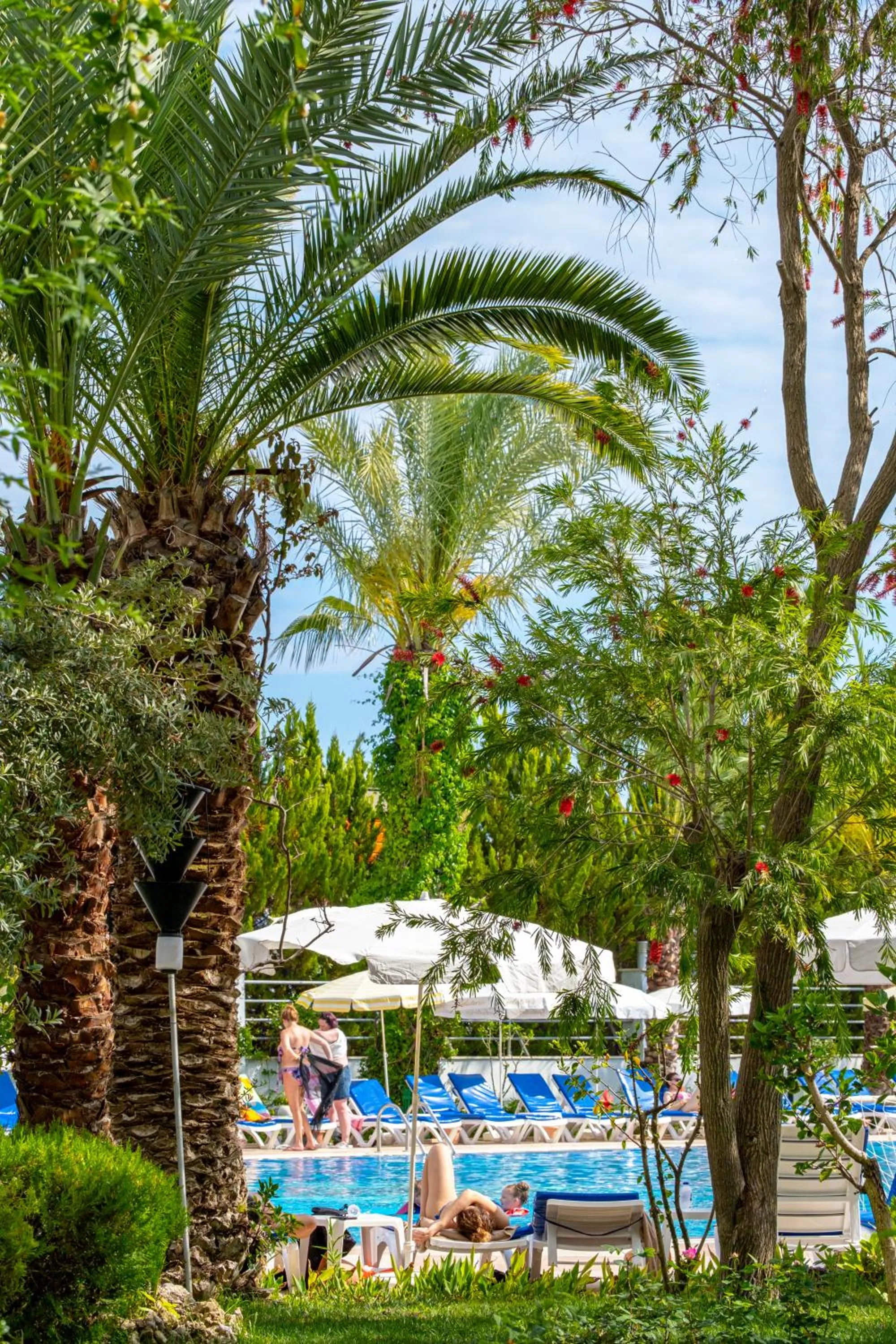 Day in Stella Beach Hotel Ultra All Inclusive