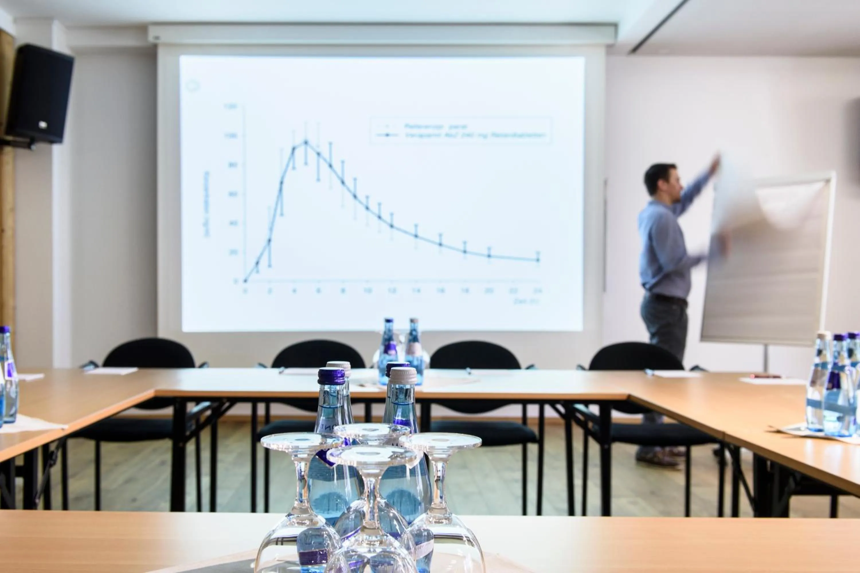 Business facilities in Aktiv & Spa Hotel Alpenrose