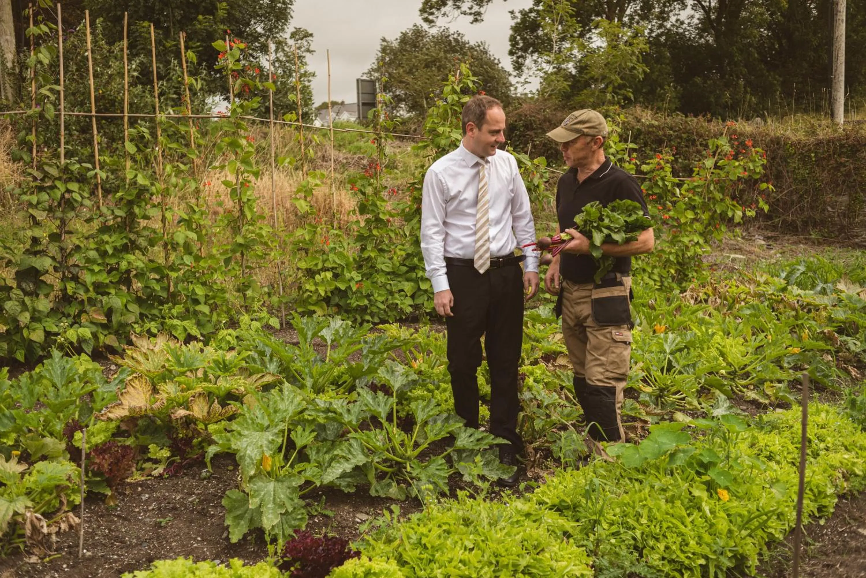 Garden in Fernhill House Hotel & Gardens