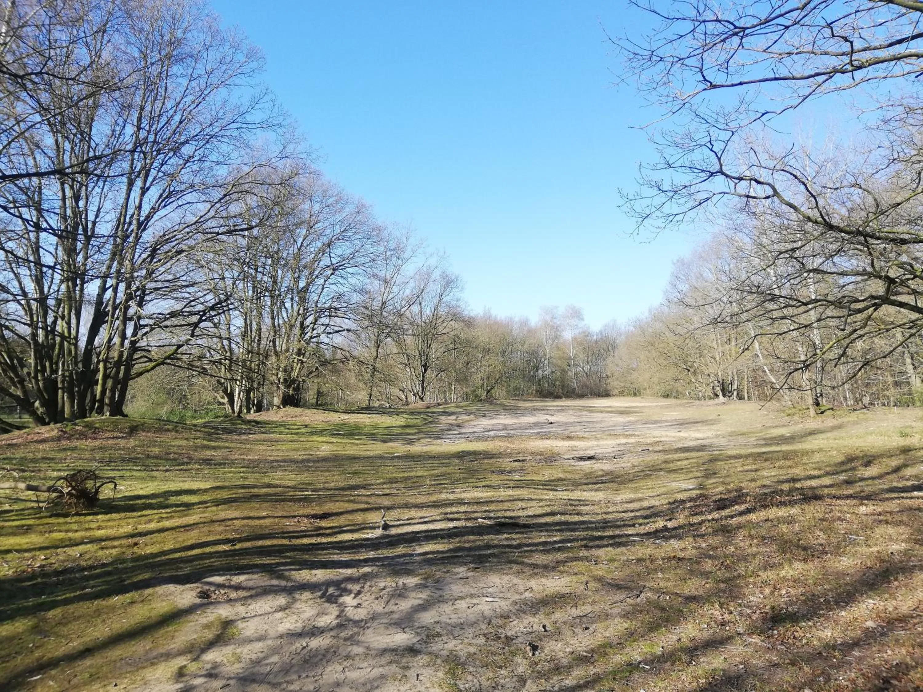 Hiking in B&B De Stuifduinen