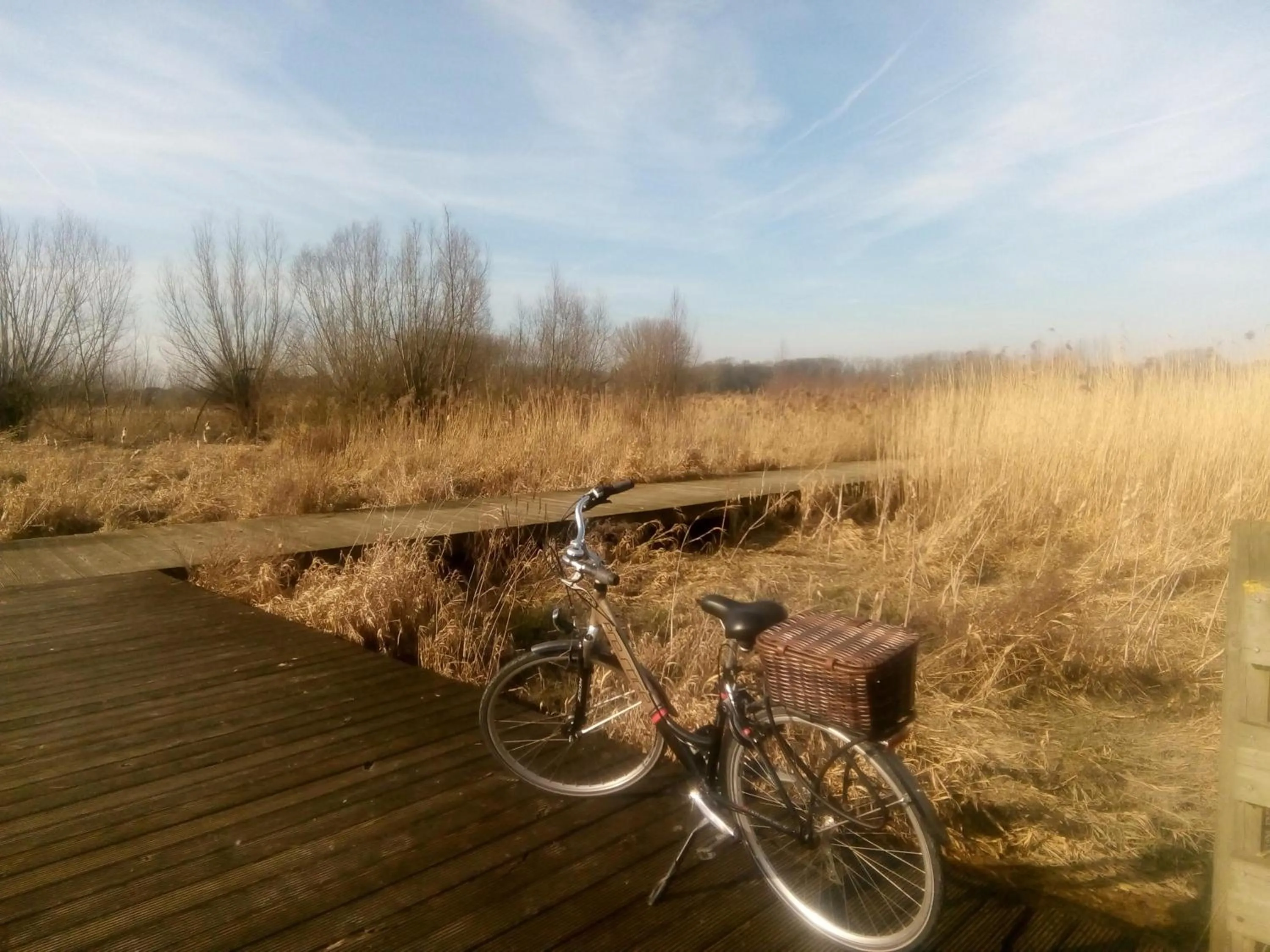 Cycling in B&B De Stuifduinen