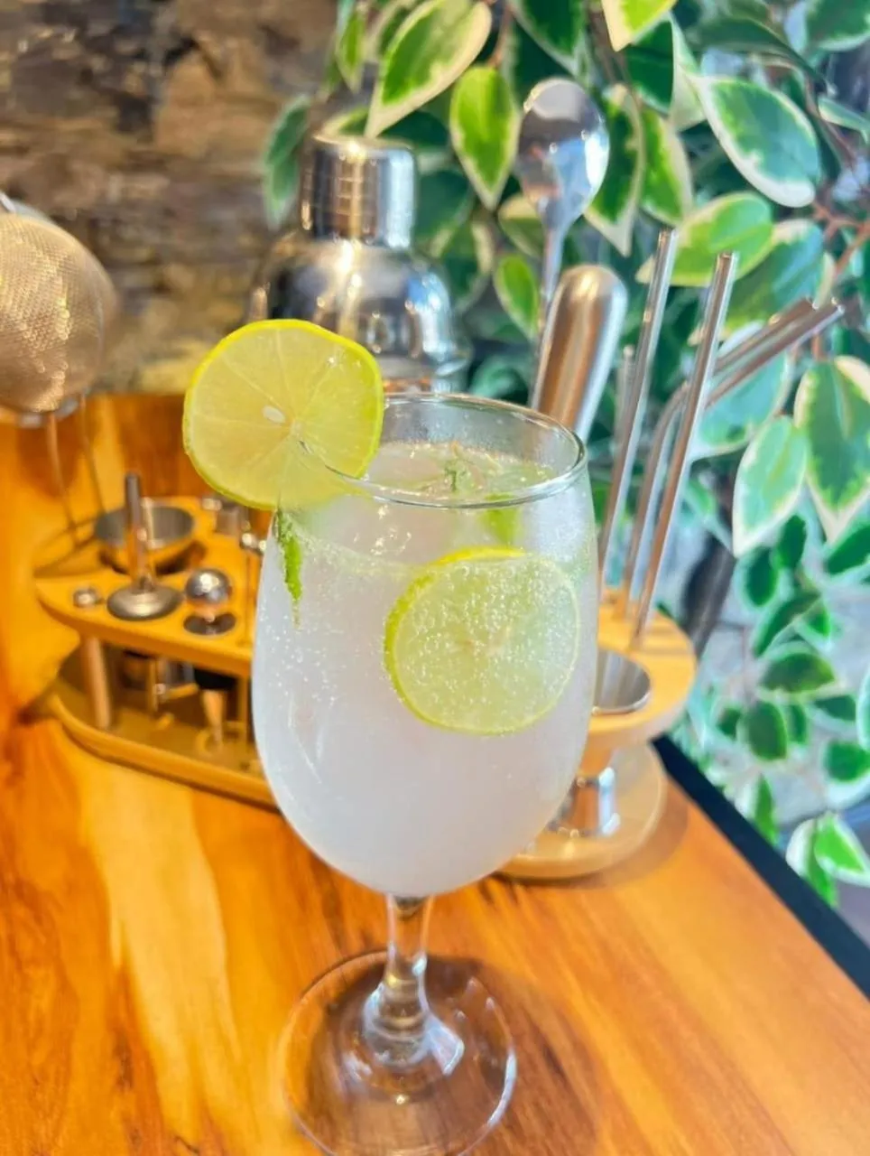 Grann Posada Xilitla