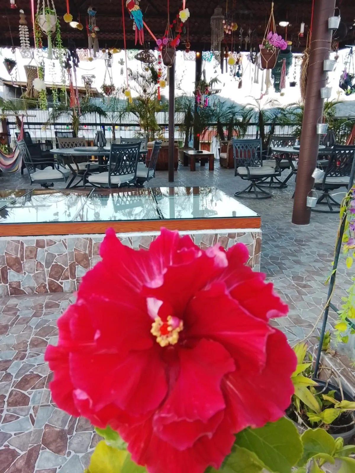 Grann Posada Xilitla