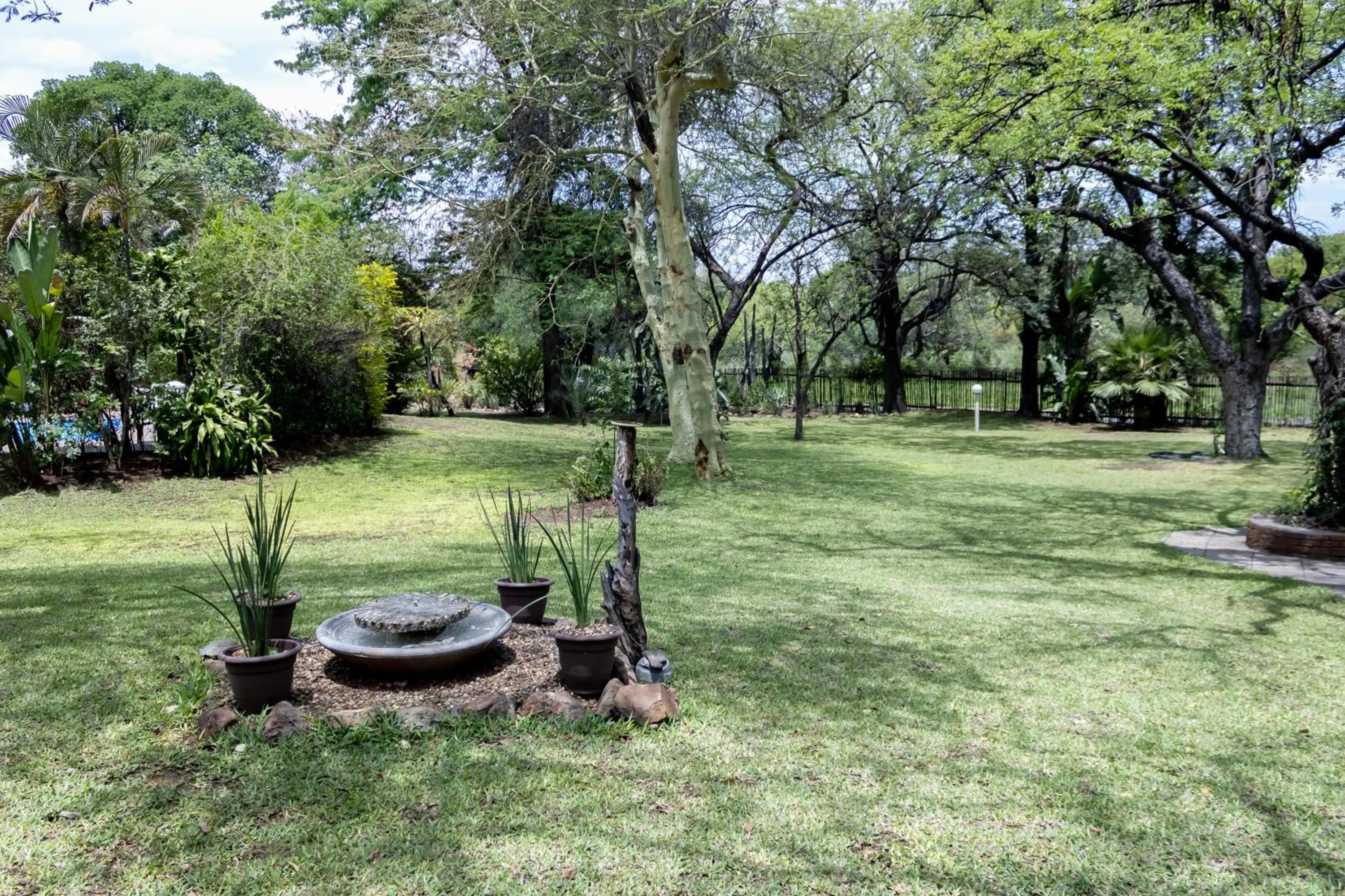 Day in Sunbird Lodge