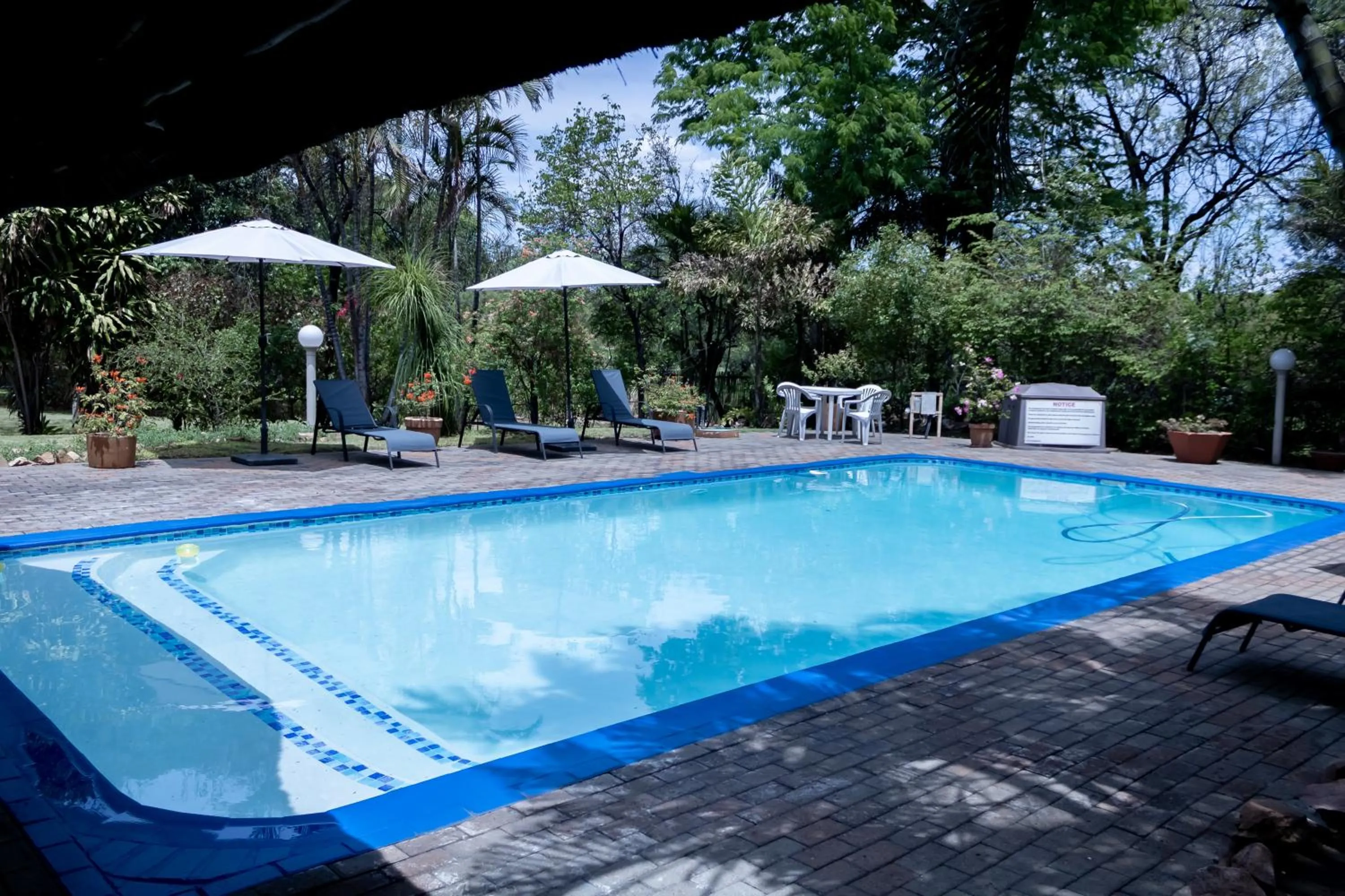 Garden in Sunbird Lodge