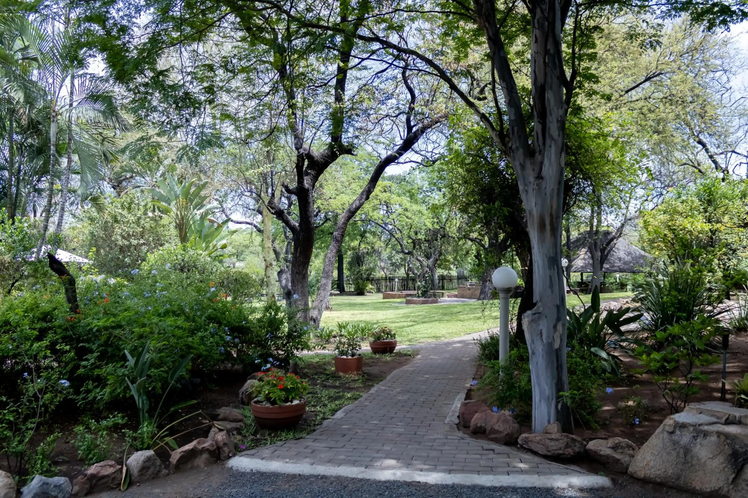 Day in Sunbird Lodge