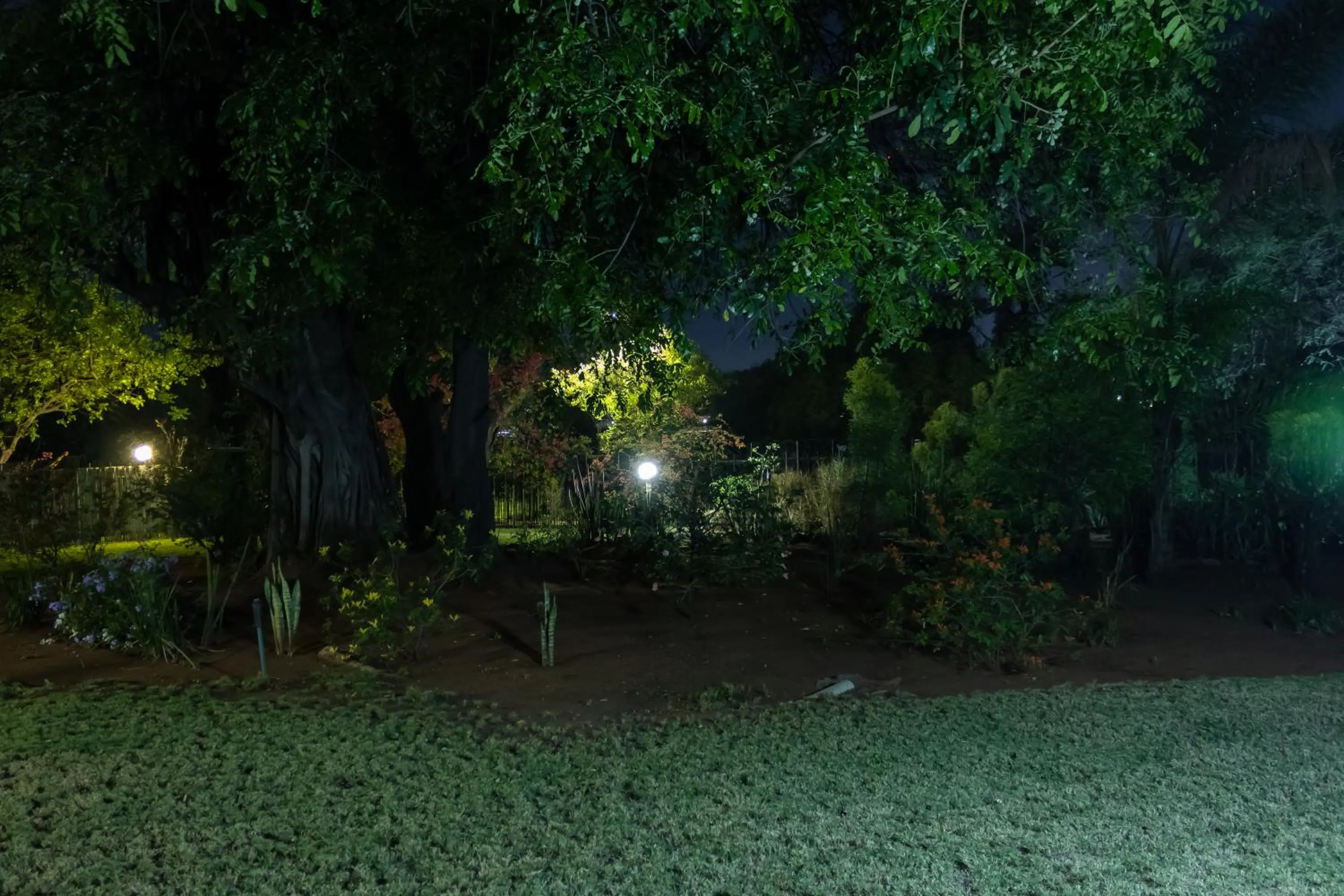 Night in Sunbird Lodge