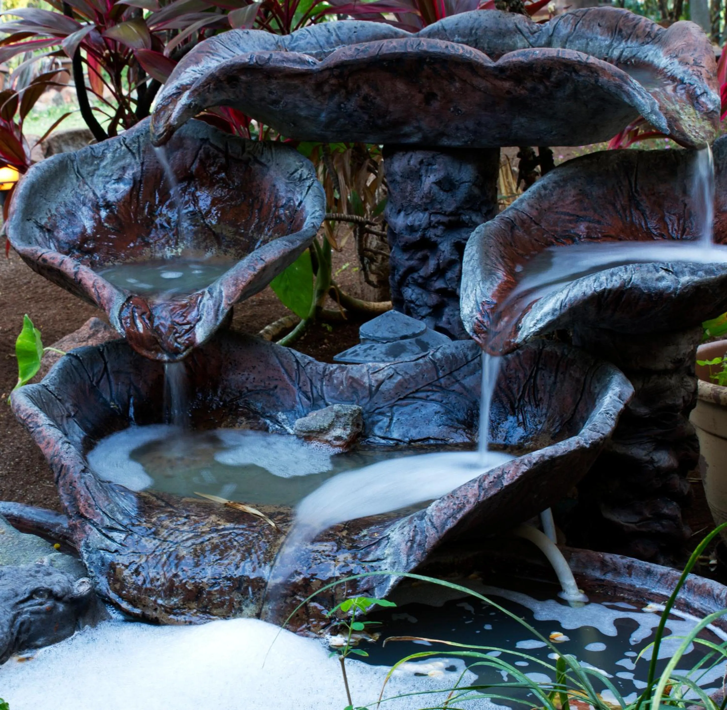 Garden in Sunbird Lodge